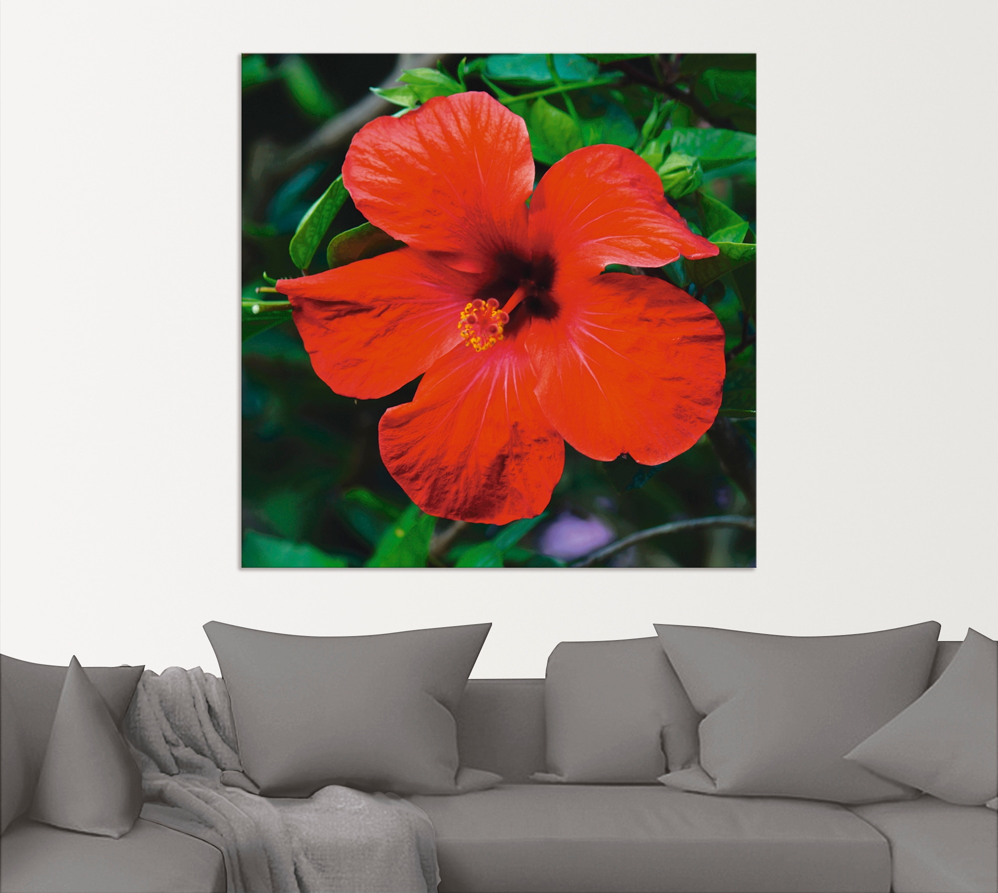 Artland Wandbild »Hawaiiblume«, Blumen, (1 St.), als Alubild, Leinwandbild, Wandaufkleber oder Poster in versch. Grössen