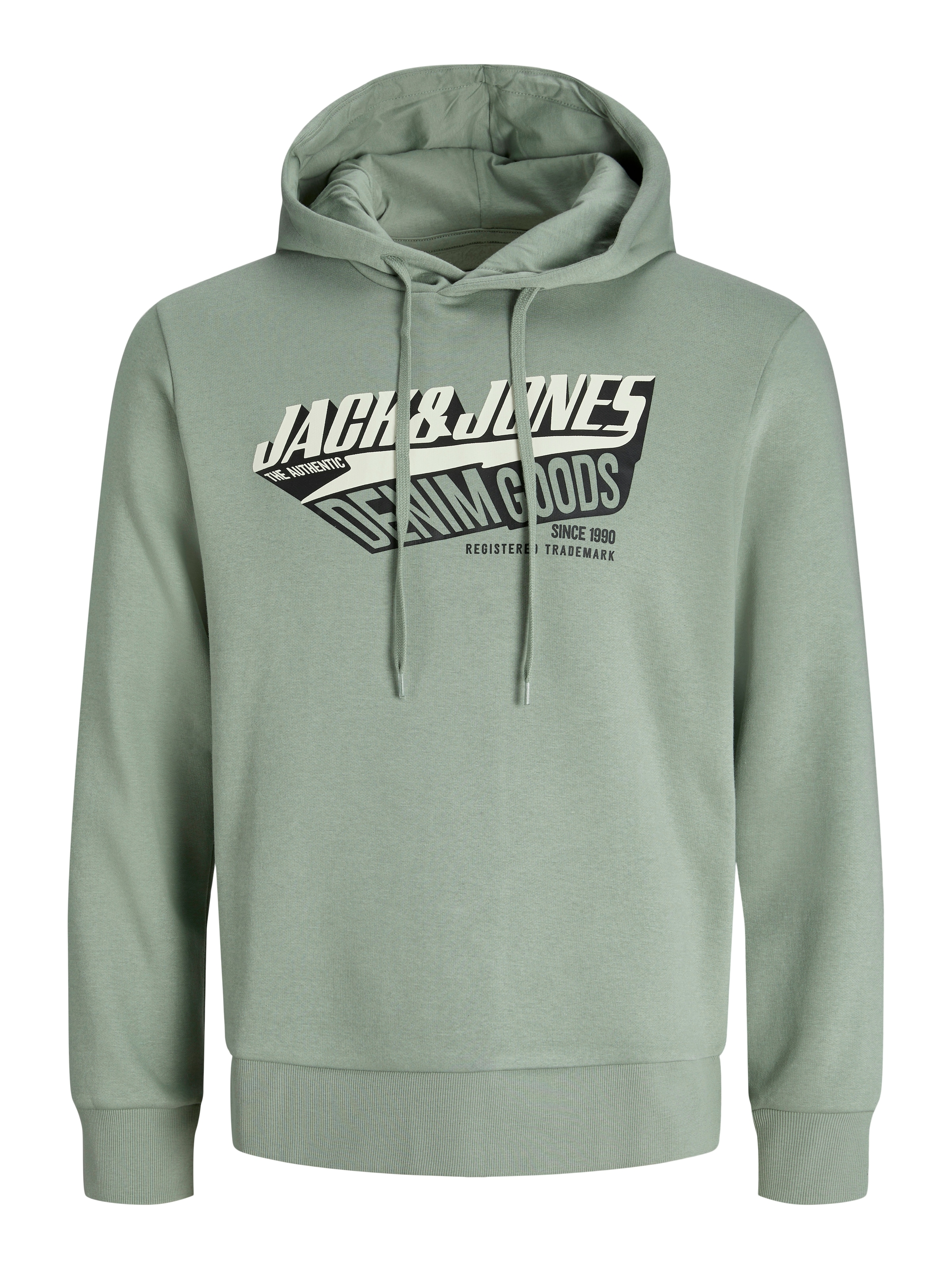 Jack & Jones Kapuzensweatshirt »JJELOGO SWEAT HOOD 2 COL 25/26 NOOS«