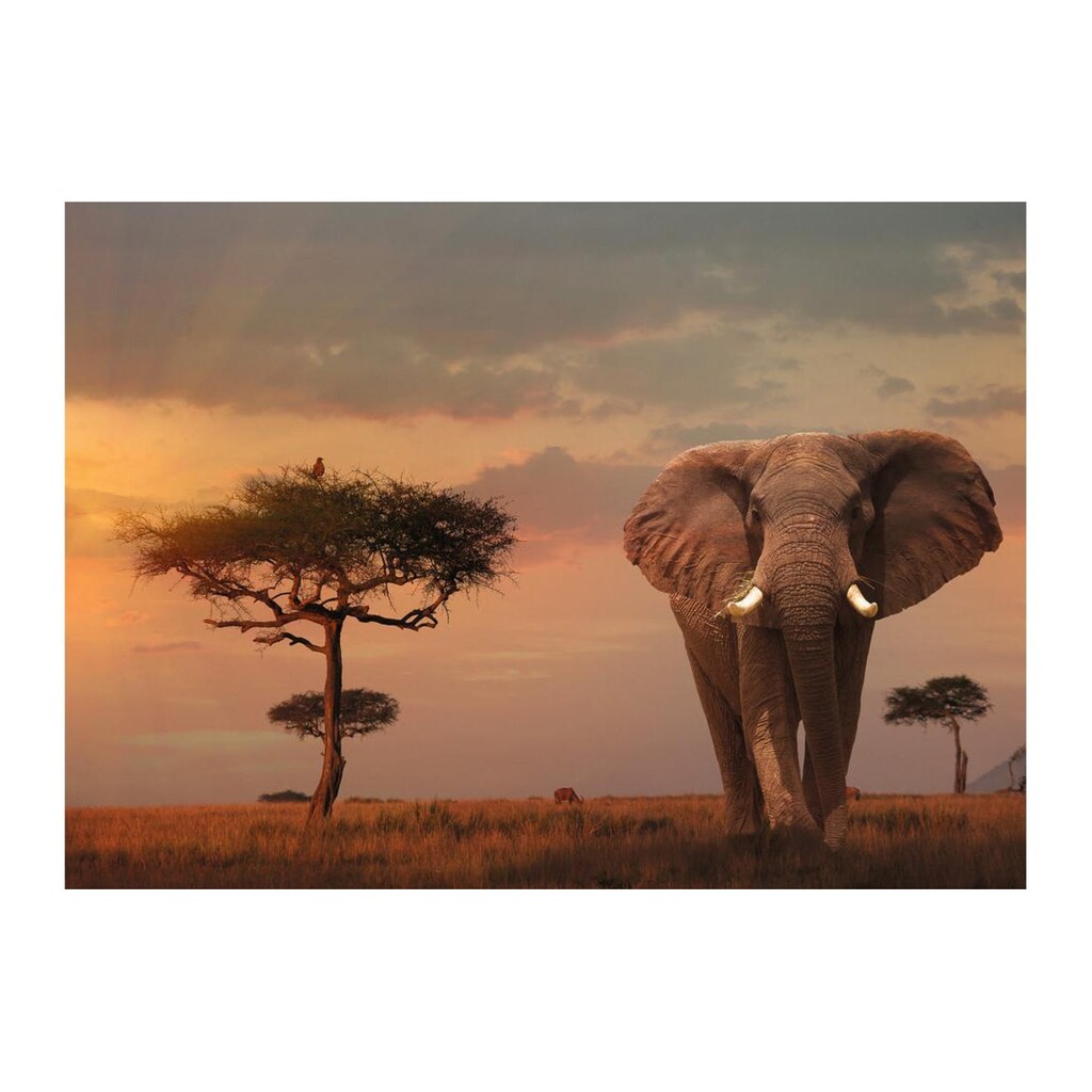 Ravensburger Puzzle »Elefant in Masai Mara National Park«