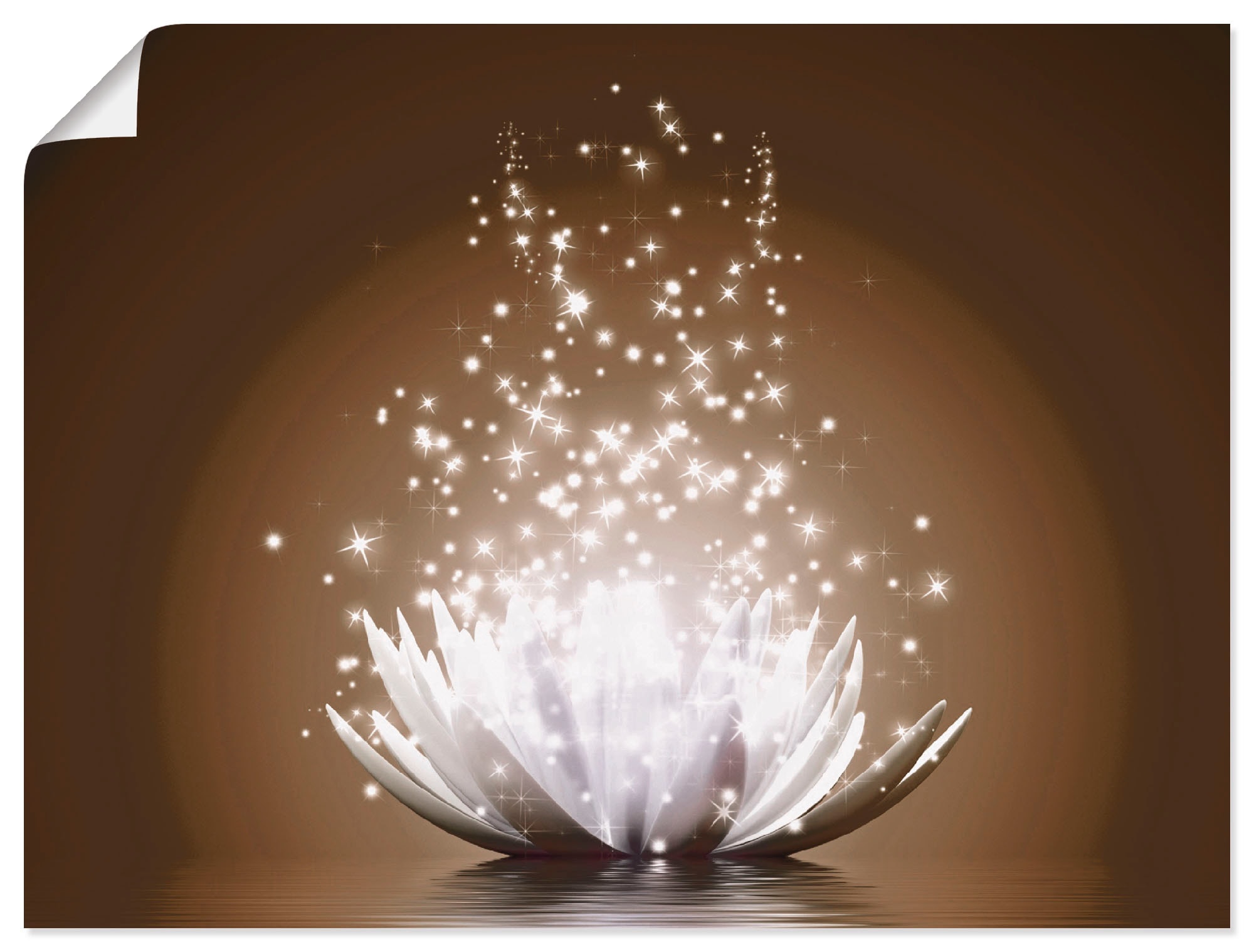 oder Lotus-Blume«, »Magie | Leinwandbild, Wandaufkleber als versch. kaufen Wandbild Poster St.), (1 online Grössen in Alubild, Jelmoli-Versand Blumen, Artland der