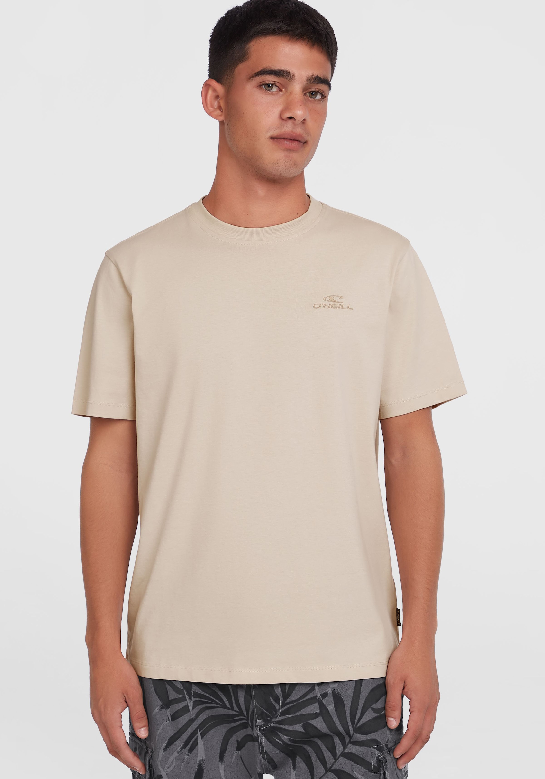 O'Neill T-Shirt »Small Logo T-Shirt«