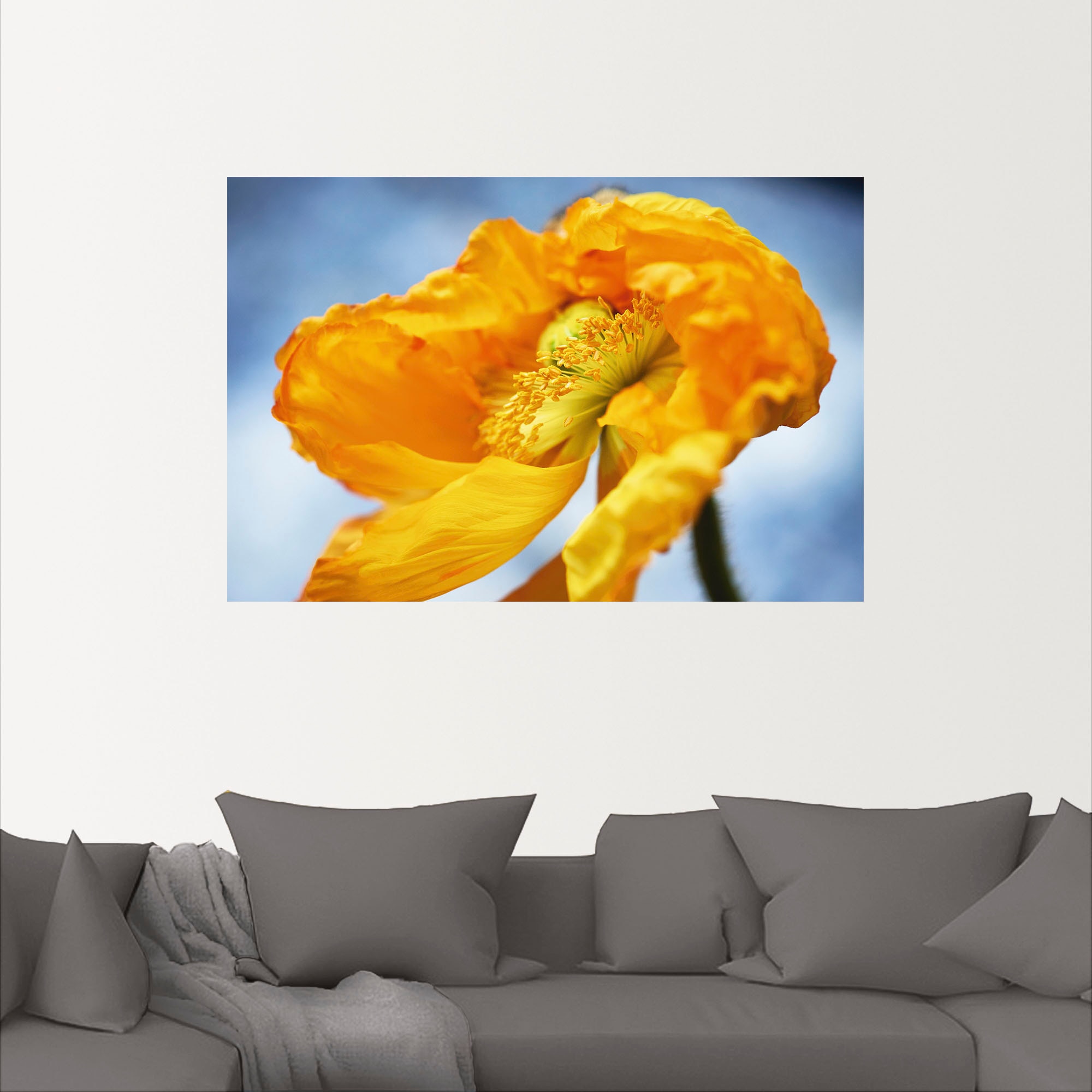 Artland Wandbild Wandaufkleber Mohnblüte«, Grössen (1 »Gelbe versch. Blumenbilder, oder online bestellen Poster als | Jelmoli-Versand in Alubild, St.), Leinwandbild,