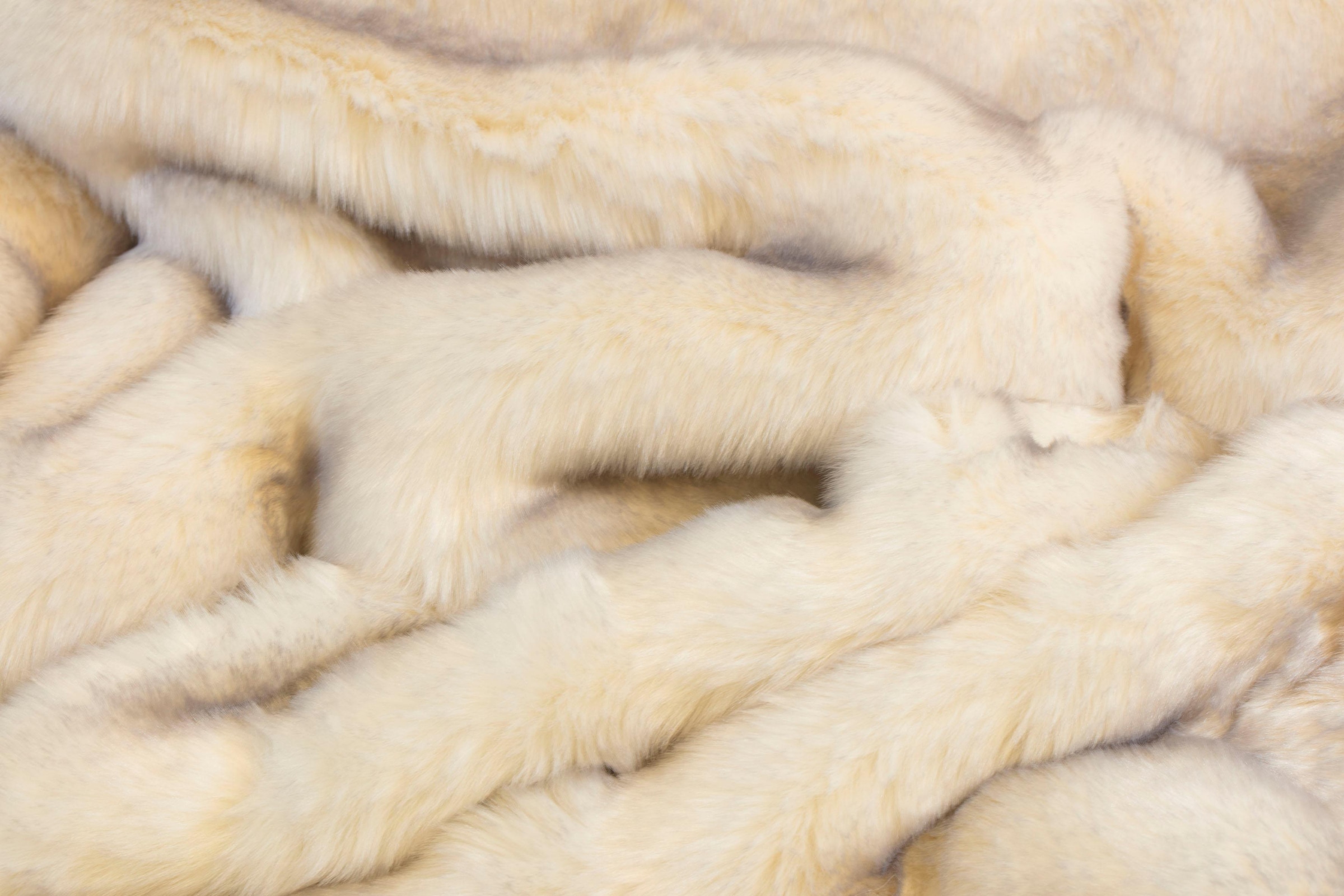 Star Home Textil Wohndecke »Polarfuchs«, besonders Kuscheldecke | weich, Jelmoli-Versand shoppen online