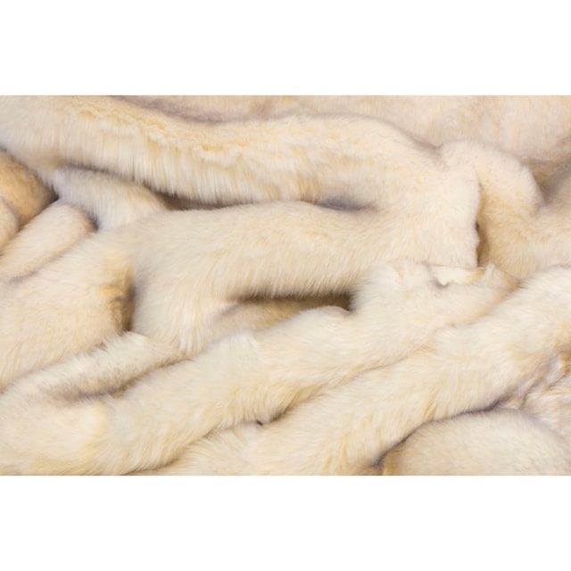 Star Home Textil Wohndecke »Polarfuchs«, besonders weich, Kuscheldecke  online shoppen | Jelmoli-Versand