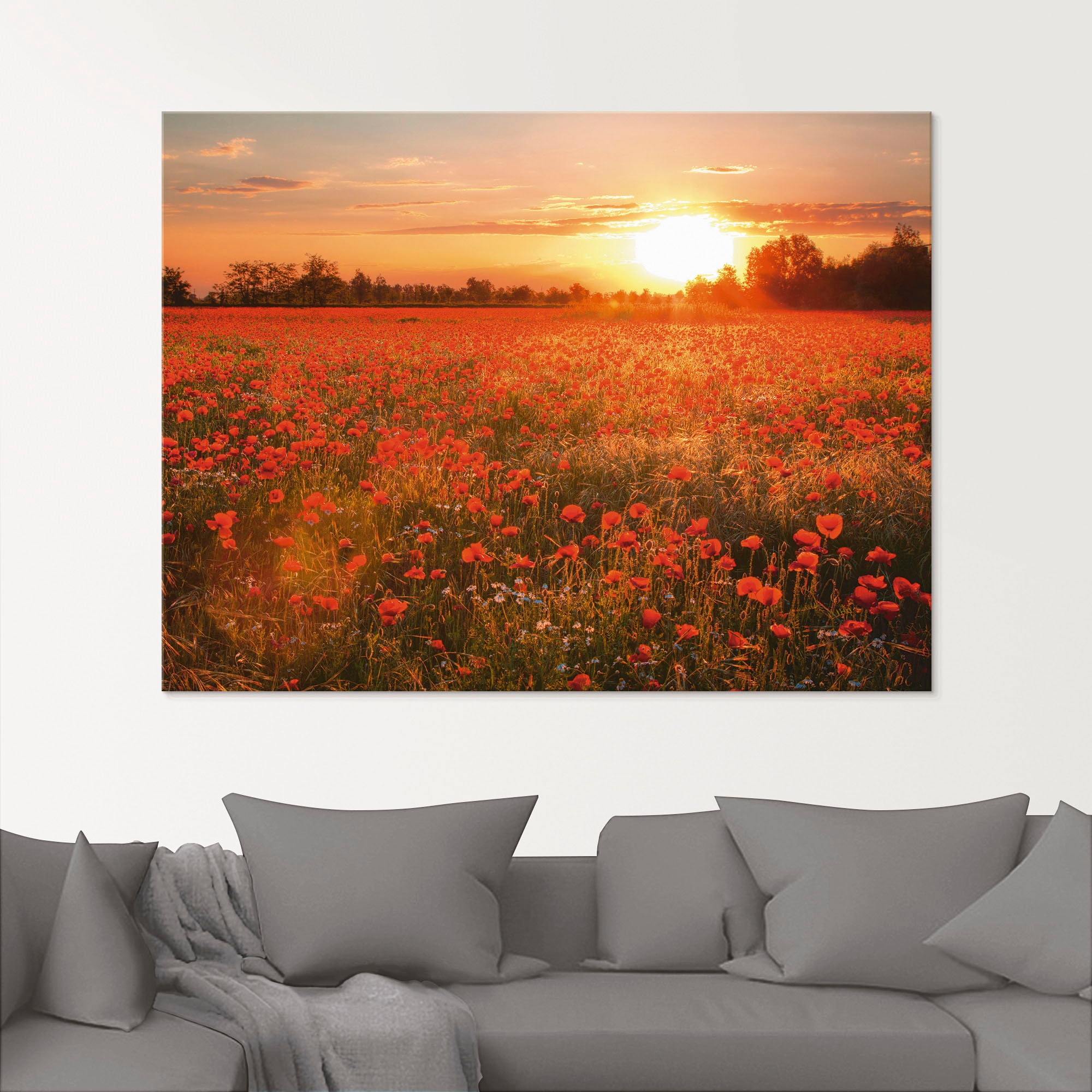 Artland Glasbild »Mohnblumenfeld bei Sonnenuntergang«, Jelmoli-Versand Blumen, | in (1 online kaufen St.), verschiedenen Grössen