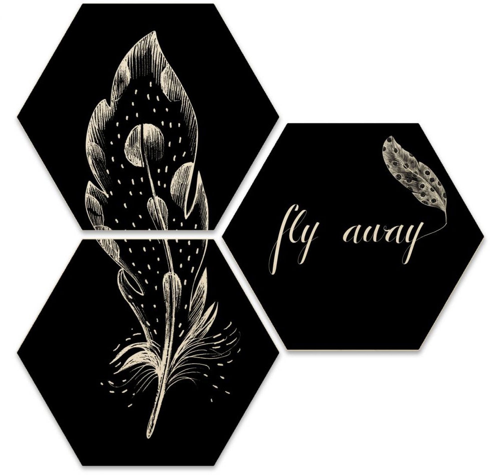 online away bestellen 3 Set Fly Feder«, (Set, Mehrteilige Bilder »Hexagon Jelmoli-Versand - | Wall-Art St.)