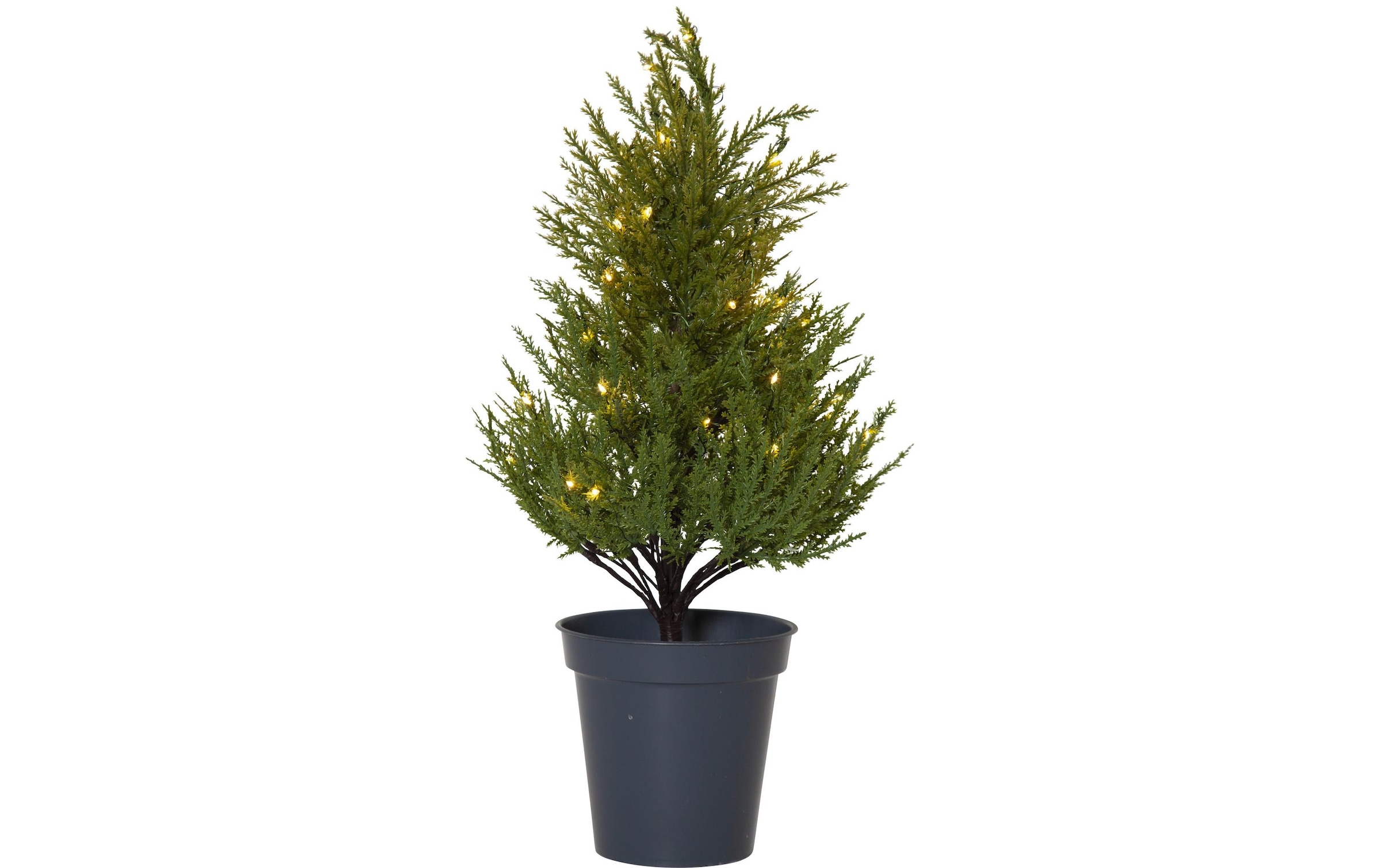 Dekobaum »Trading Baum Thuja«