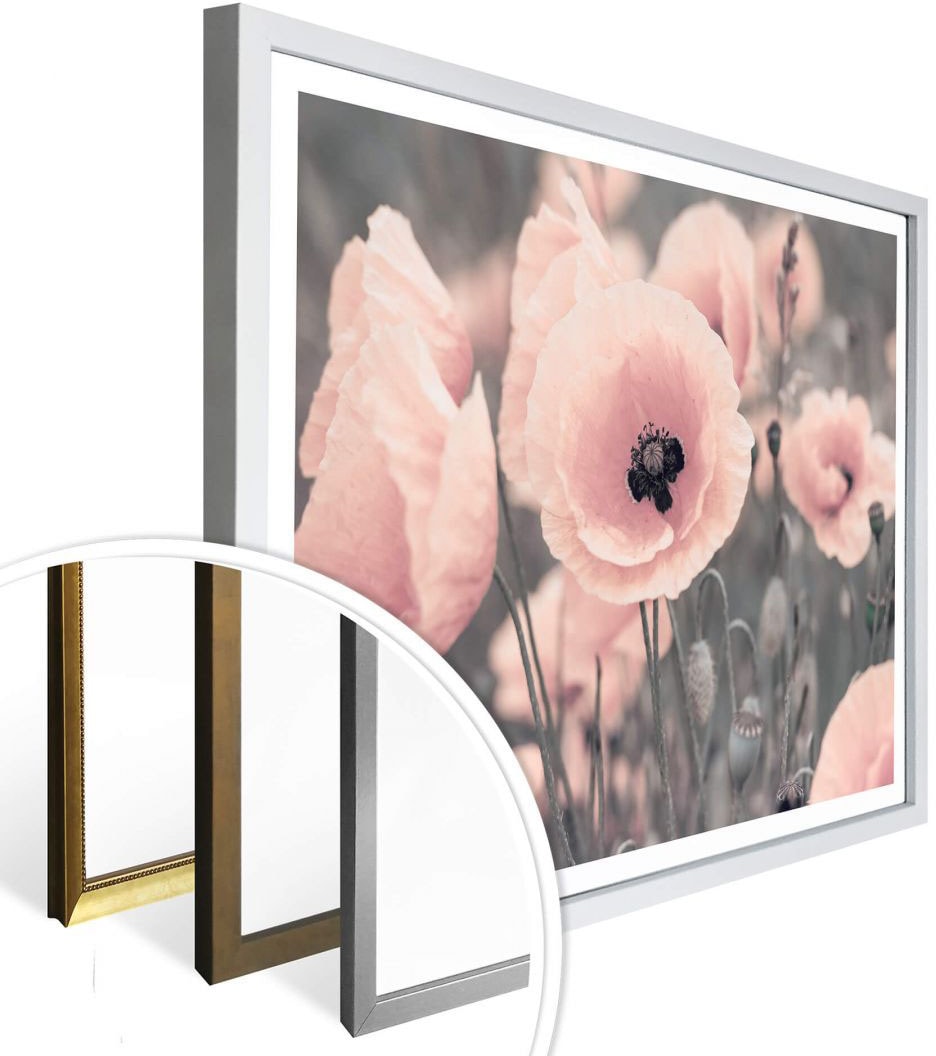 Blumen, St.) | Poster Jelmoli-Versand (1 kaufen Mohnblume«, »Rosa Wall-Art online