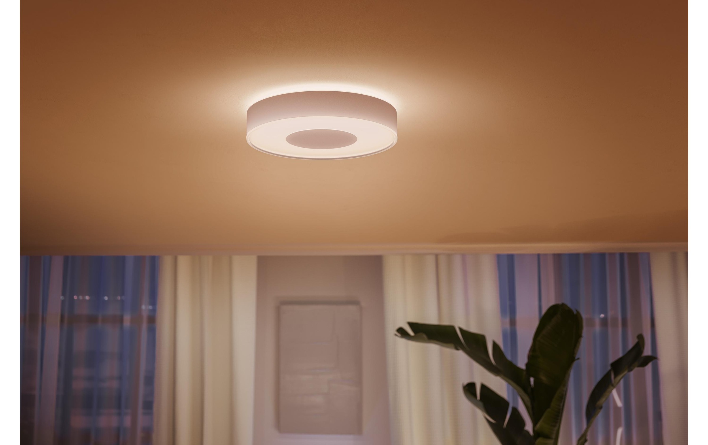 Philips Hue Deckenleuchte »White«, 1 flammig-flammig