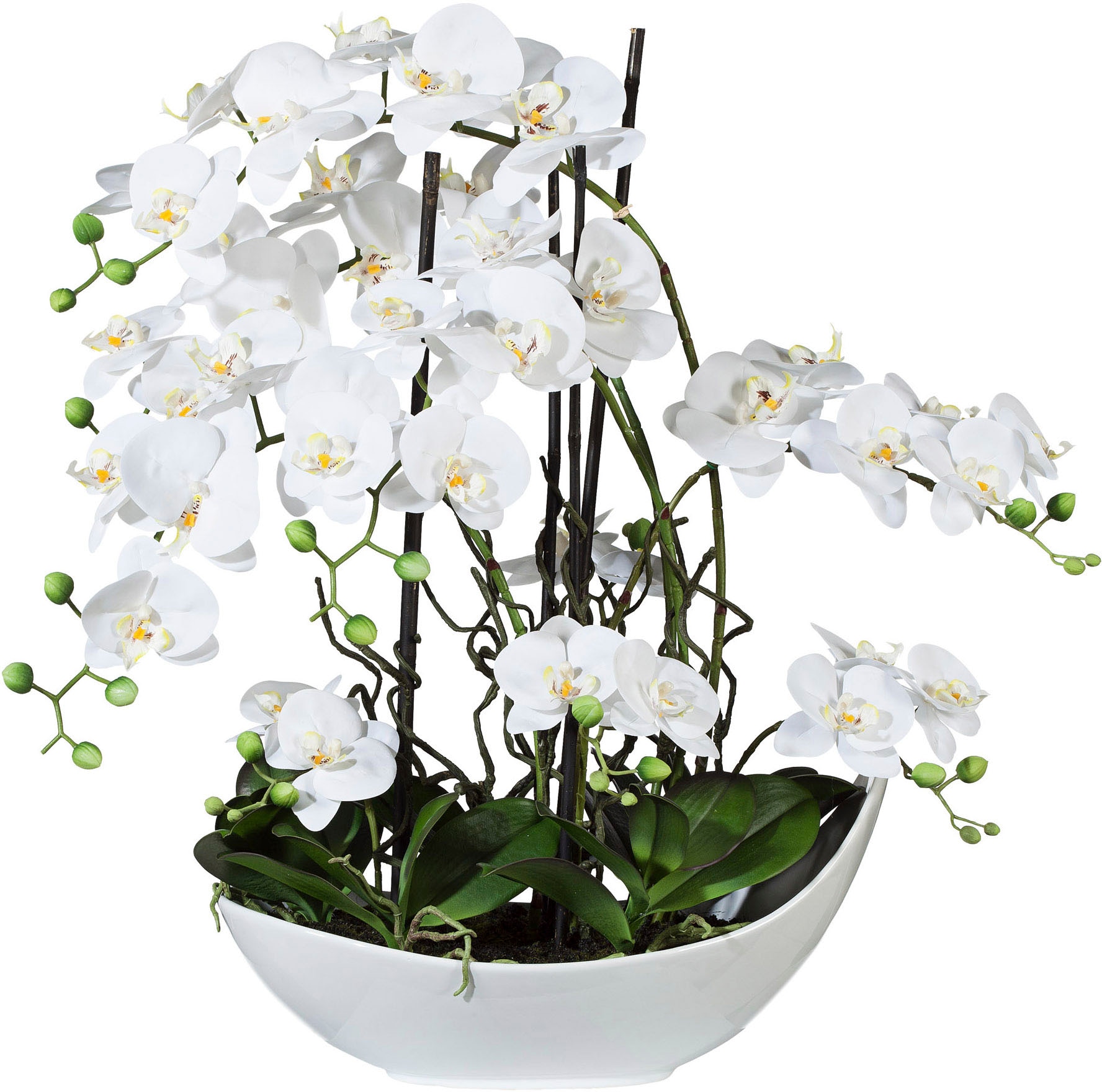 green kaufen online Kunstpflanze Creativ »Orchidee« | Jelmoli-Versand