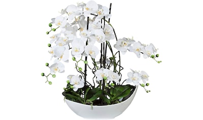 Creativ green Kunstpflanze »Orchidee« online kaufen | Jelmoli-Versand