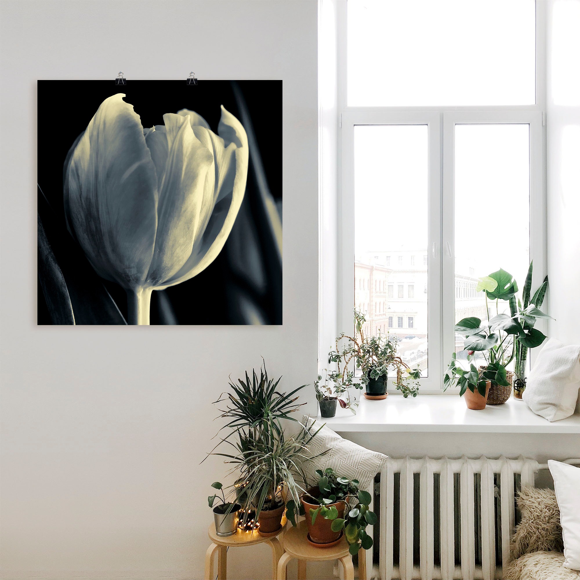 Artland Wandbild »Tulpe«, Blumen, (1 St.), als Leinwandbild, Wandaufkleber oder Poster in versch. Grössen