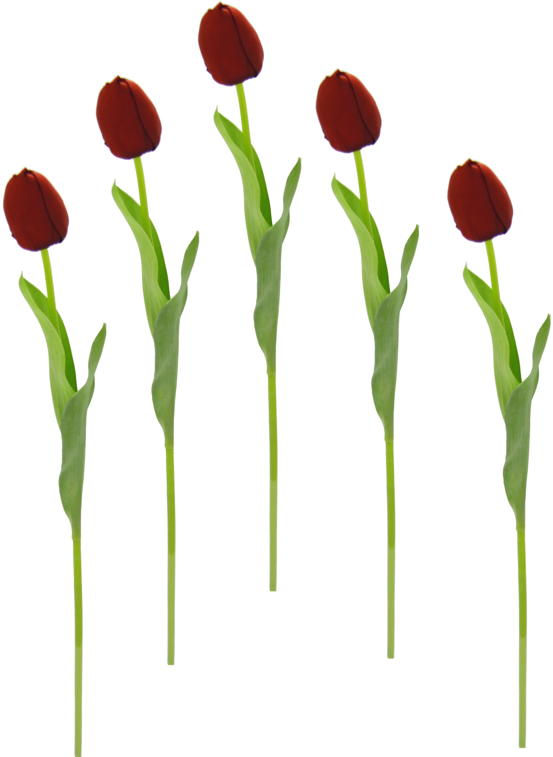 | Tulpenknospen, online 5er Kunstblumen, künstliche Touch kaufen Jelmoli-Versand Stielblume Set I.GE.A. »Real Tulpen«, Kunstblume