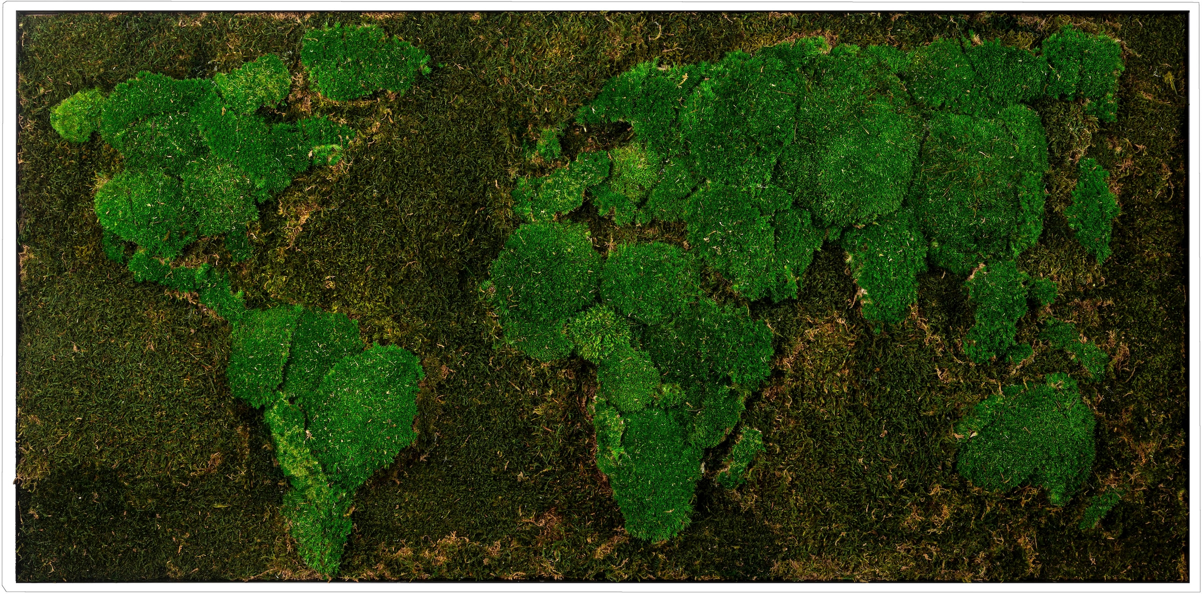 Bönninghoff Bild mit Rahmen Jelmoli-Versand »Moos«, 120x60 online BxH: St.), cm Bild ein | jedes Weltkarte, (1 Unikat, shoppen