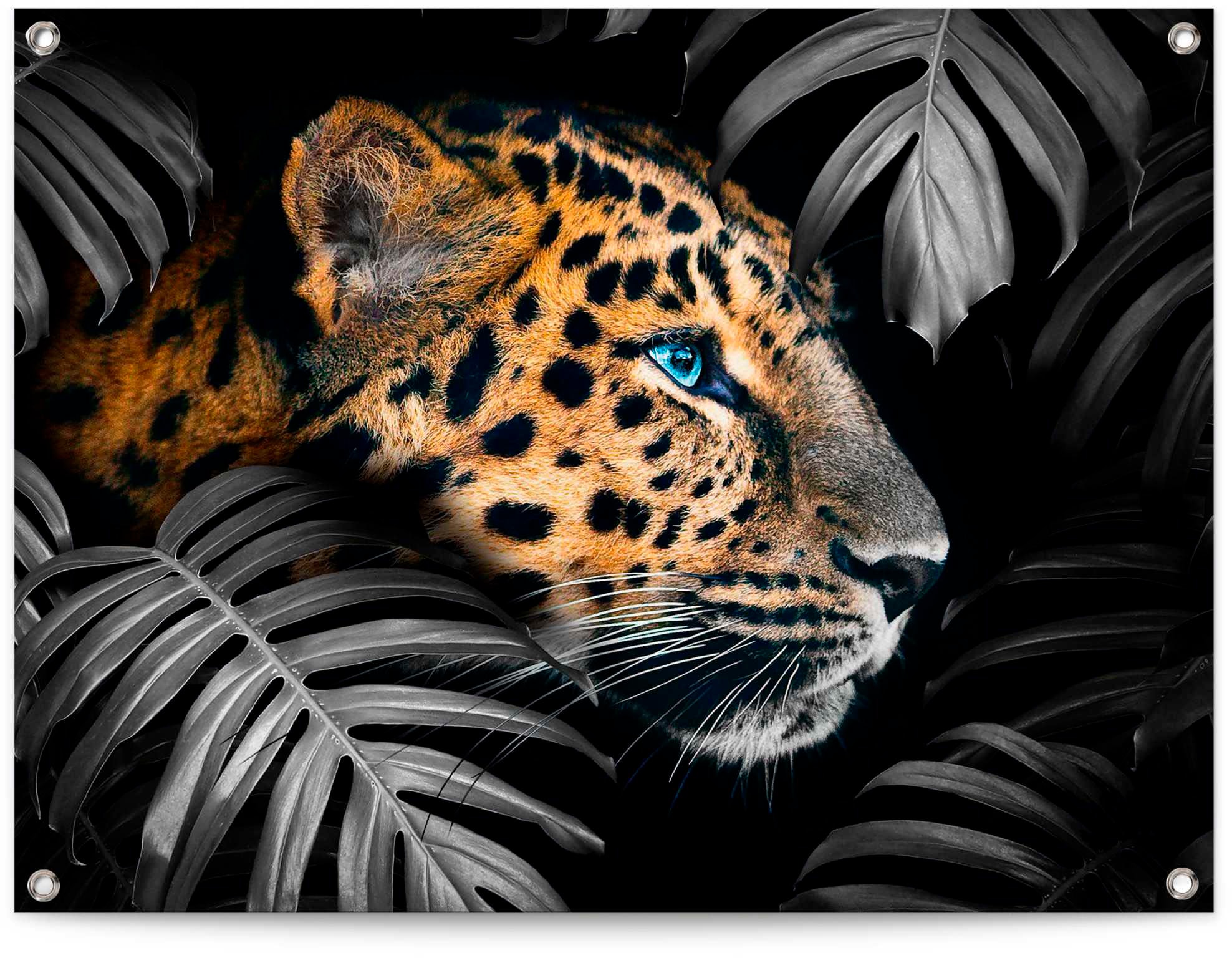 Reinders! Wandbild »Leopard« online Jelmoli-Versand bestellen 