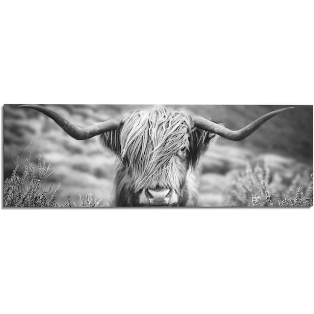 ❤ Reinders! Wandbild »Wandbild Highlander Bulle Tiermotiv - Nahaufnahme - Hochlandrind  Bild«, Kuh, (1 St.) bestellen im Jelmoli-Online Shop