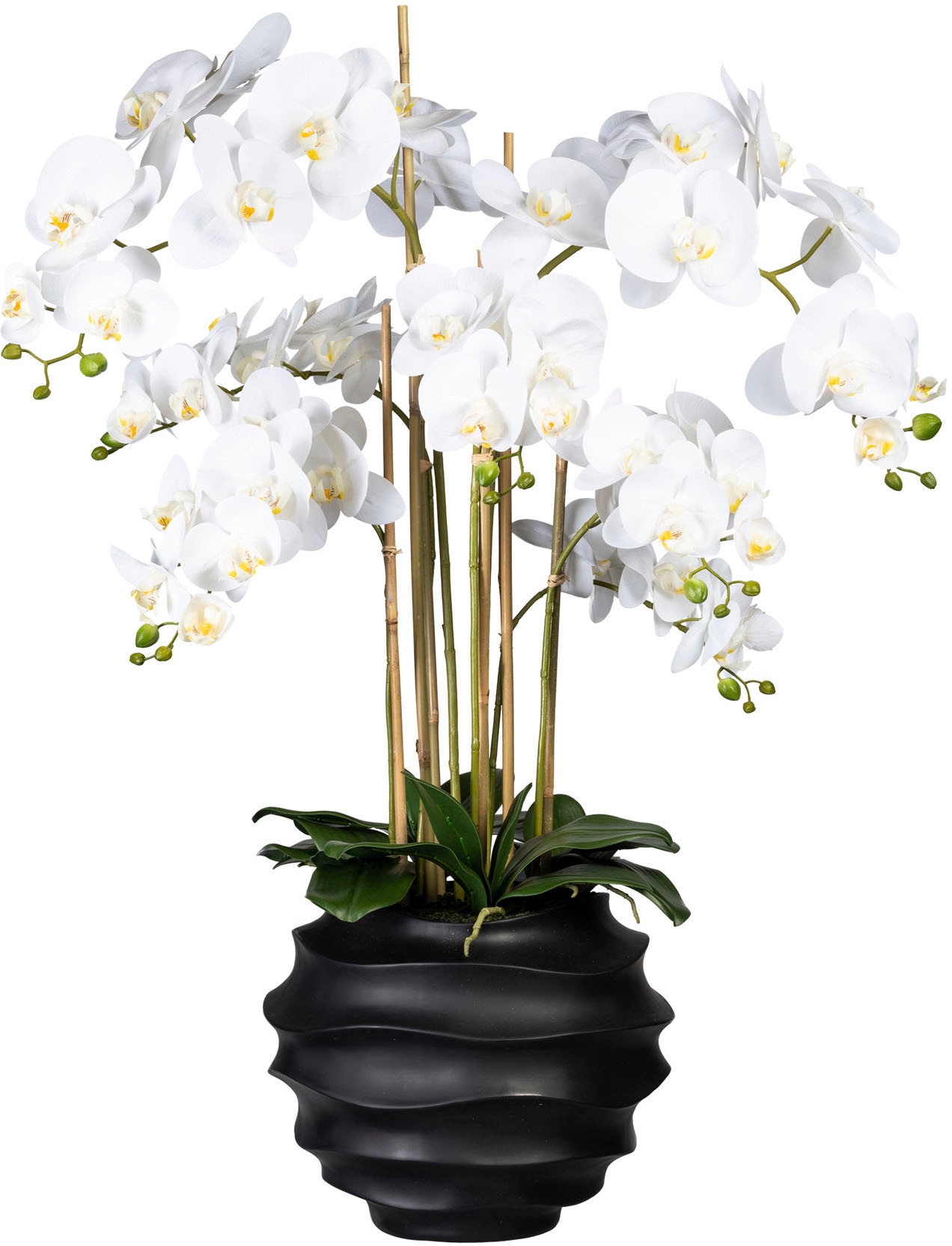 Creativ green Kunstorchidee »Phalaenopsis«, in Design-Kunststoffvase