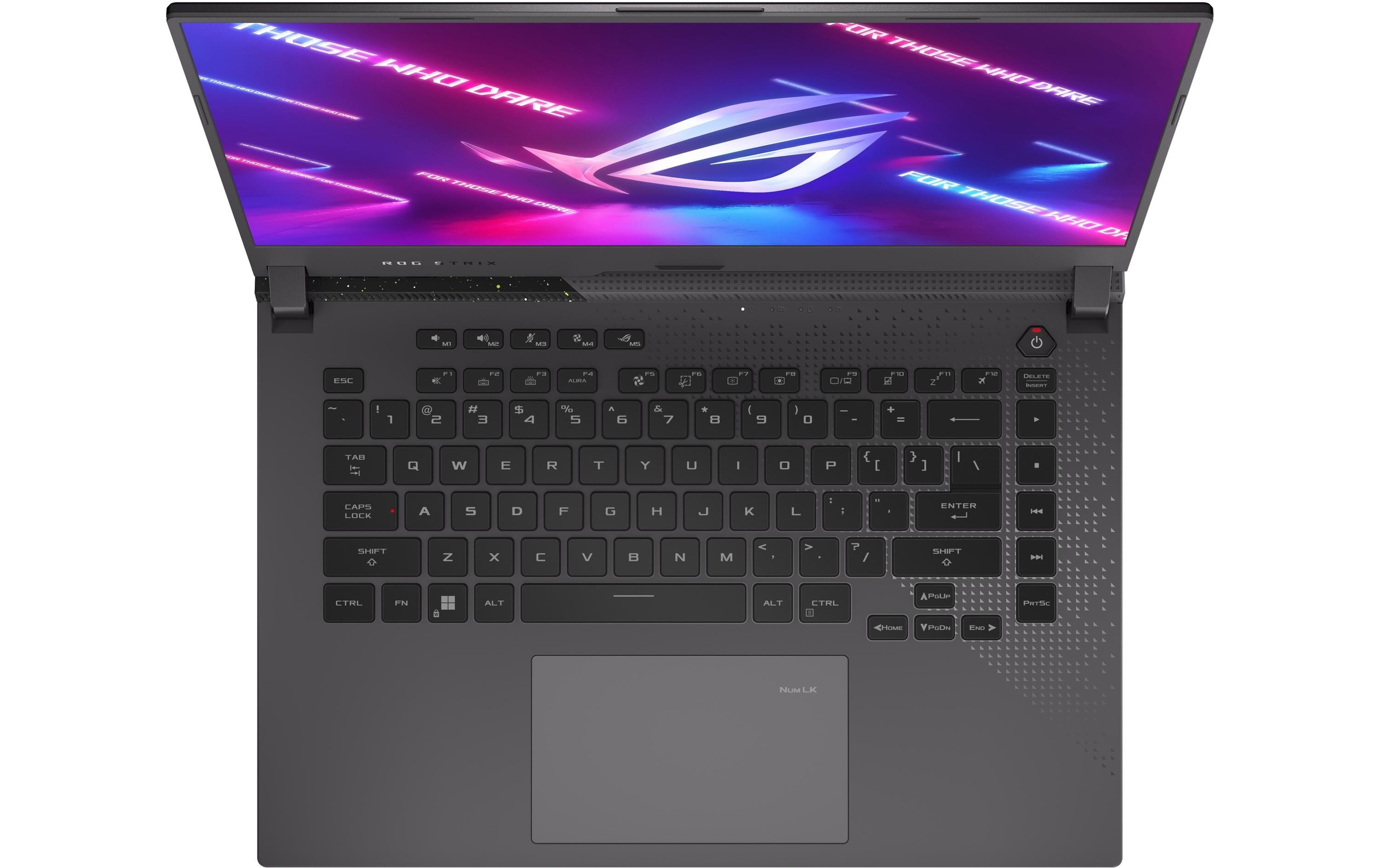 Asus Gaming-Notebook »ROG Strix G15 G513RW«, 39,46 cm, / 15,6 Zoll, AMD, Ryzen 7, GeForce RTX, 1000 GB SSD