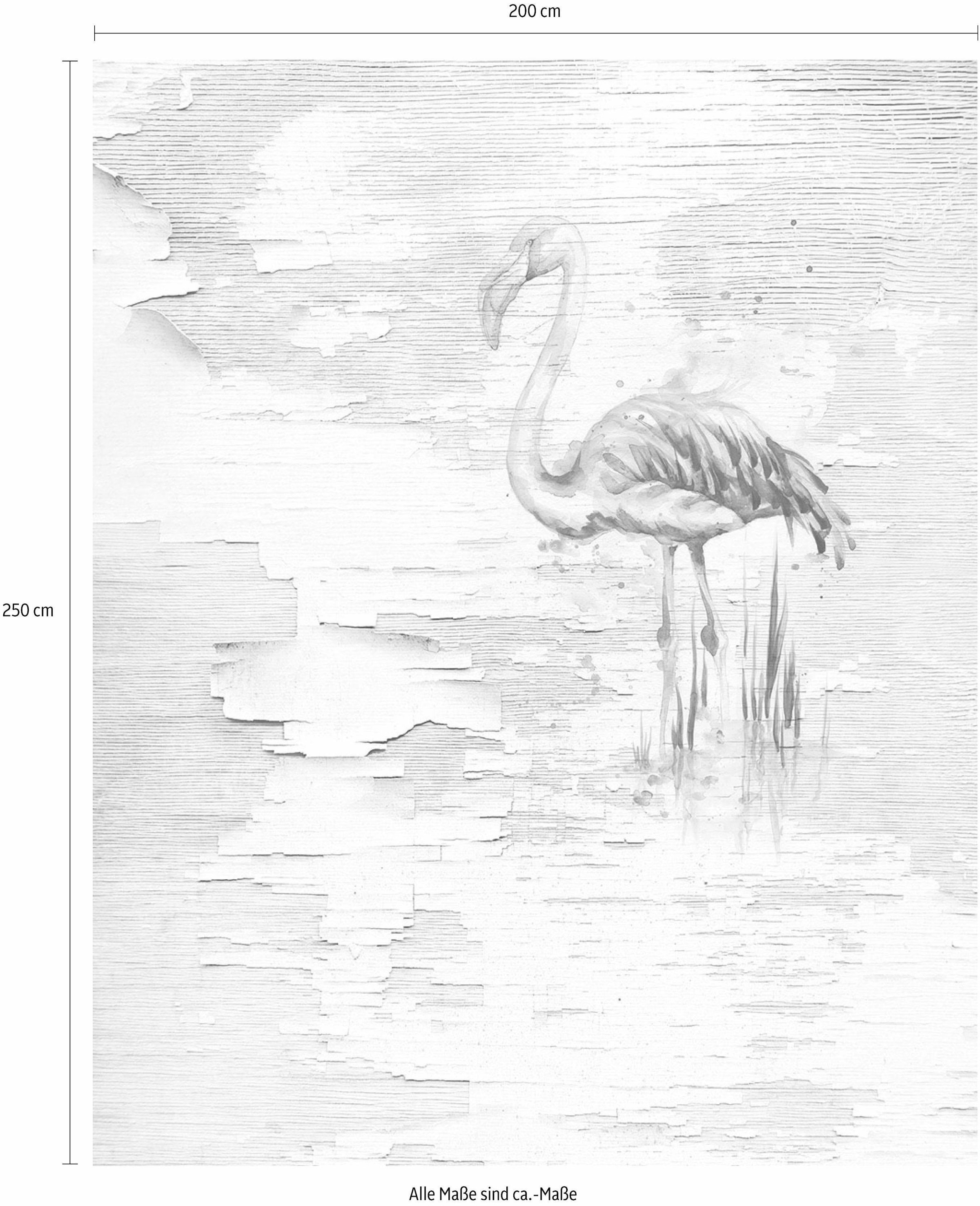 Komar Vliestapete »Digitaldruck Vlies - Pink Flamingo - Grösse 200 x 250 cm«, bedruckt, Wohnzimmer, Schlafzimmer