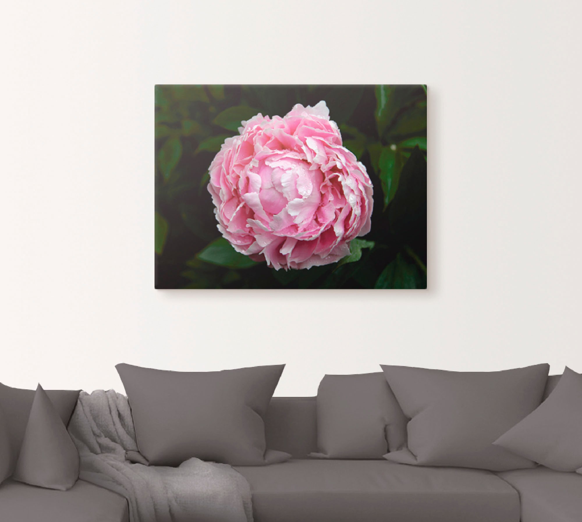 Artland Wandbild »Pfingstrose«, Blumen, (1 St.), als Leinwandbild, Wandaufkleber oder Poster in versch. Grössen