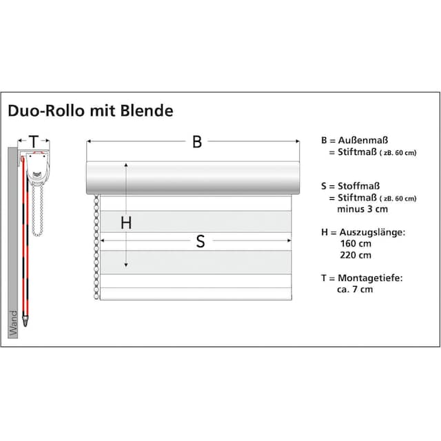Liedeco Doppelrollo »Duo-Rollo mit Blende«, Lichtschutz online shoppen |  Jelmoli-Versand