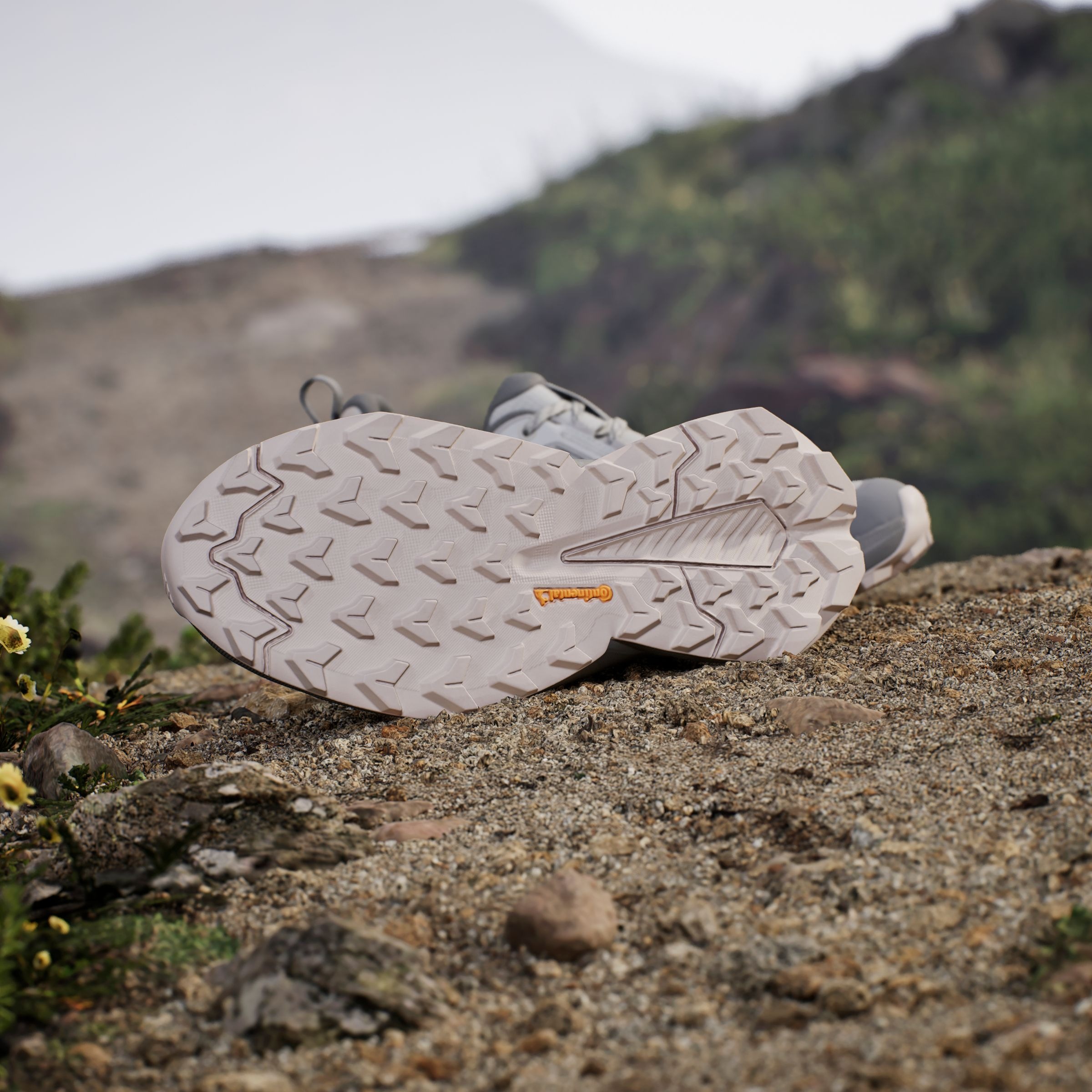 adidas TERREX Wanderschuh »TERREX TRAILMAKER 2.0 GORE-TEX«, wasserdicht