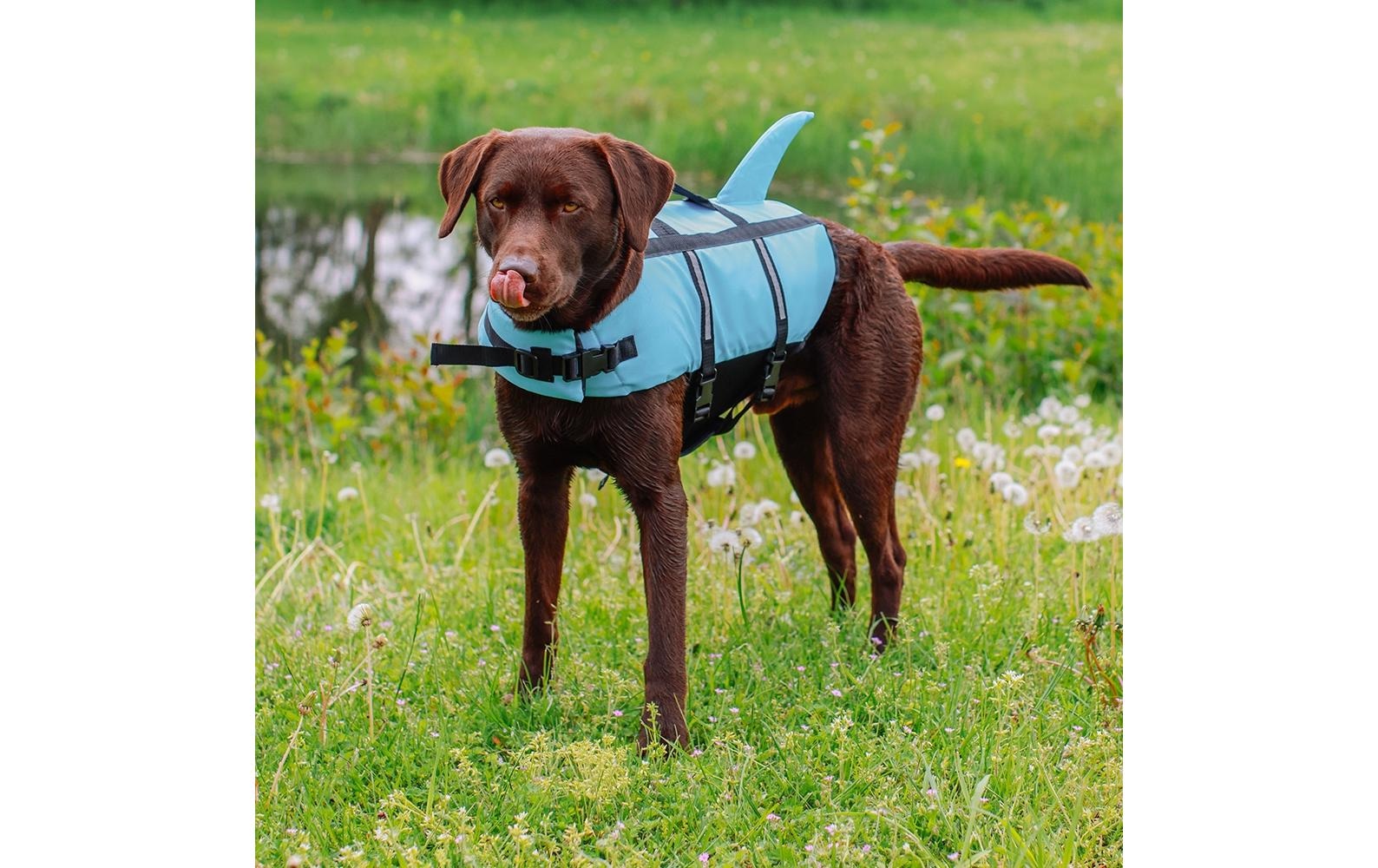 Nobby Hundeweste »Sharki L, 40 cm, Blau«