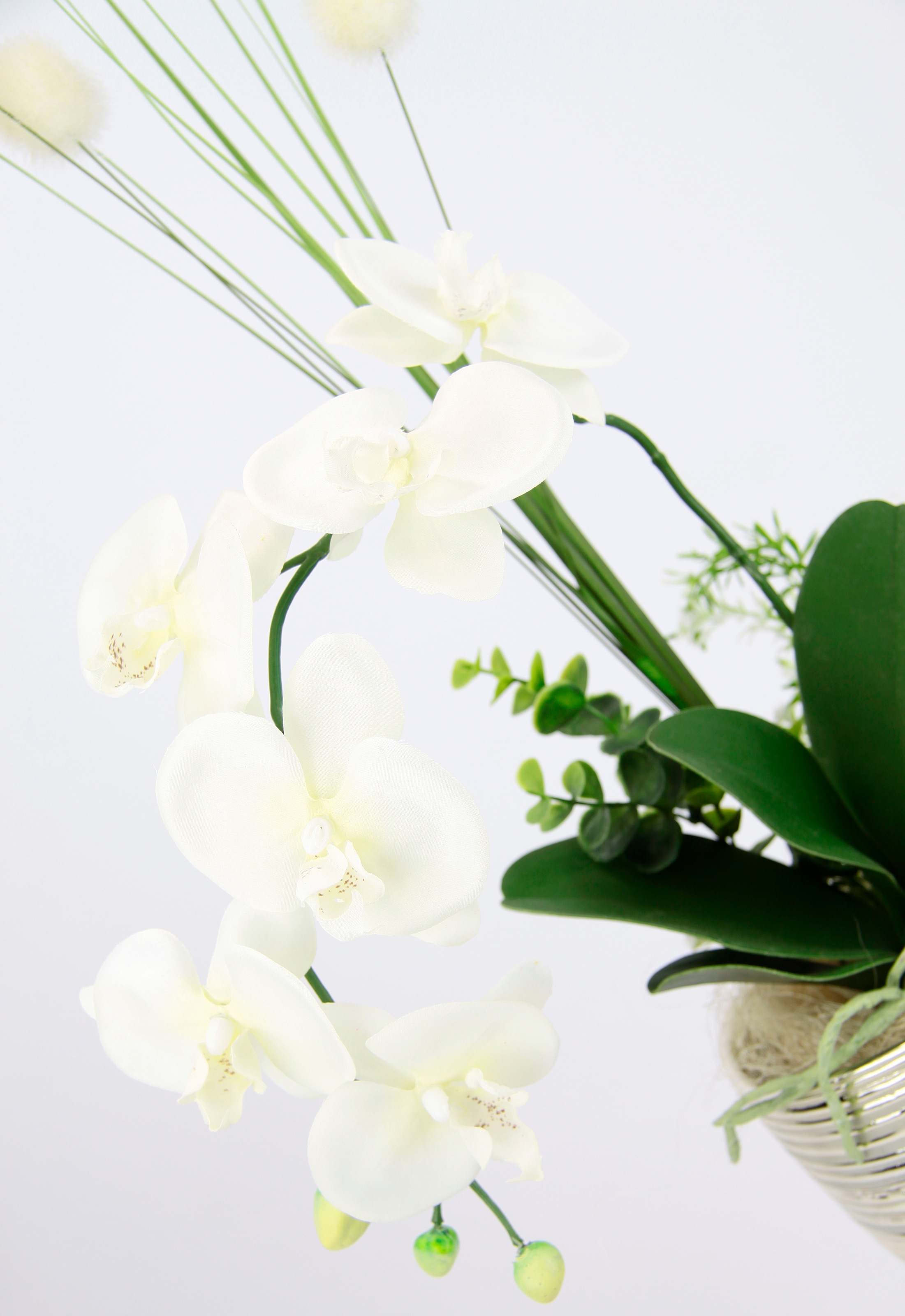 I.GE.A. Kunstblume »Arrangement Orchidee/Gras«, Topf Keramik online | bestellen Jelmoli-Versand aus