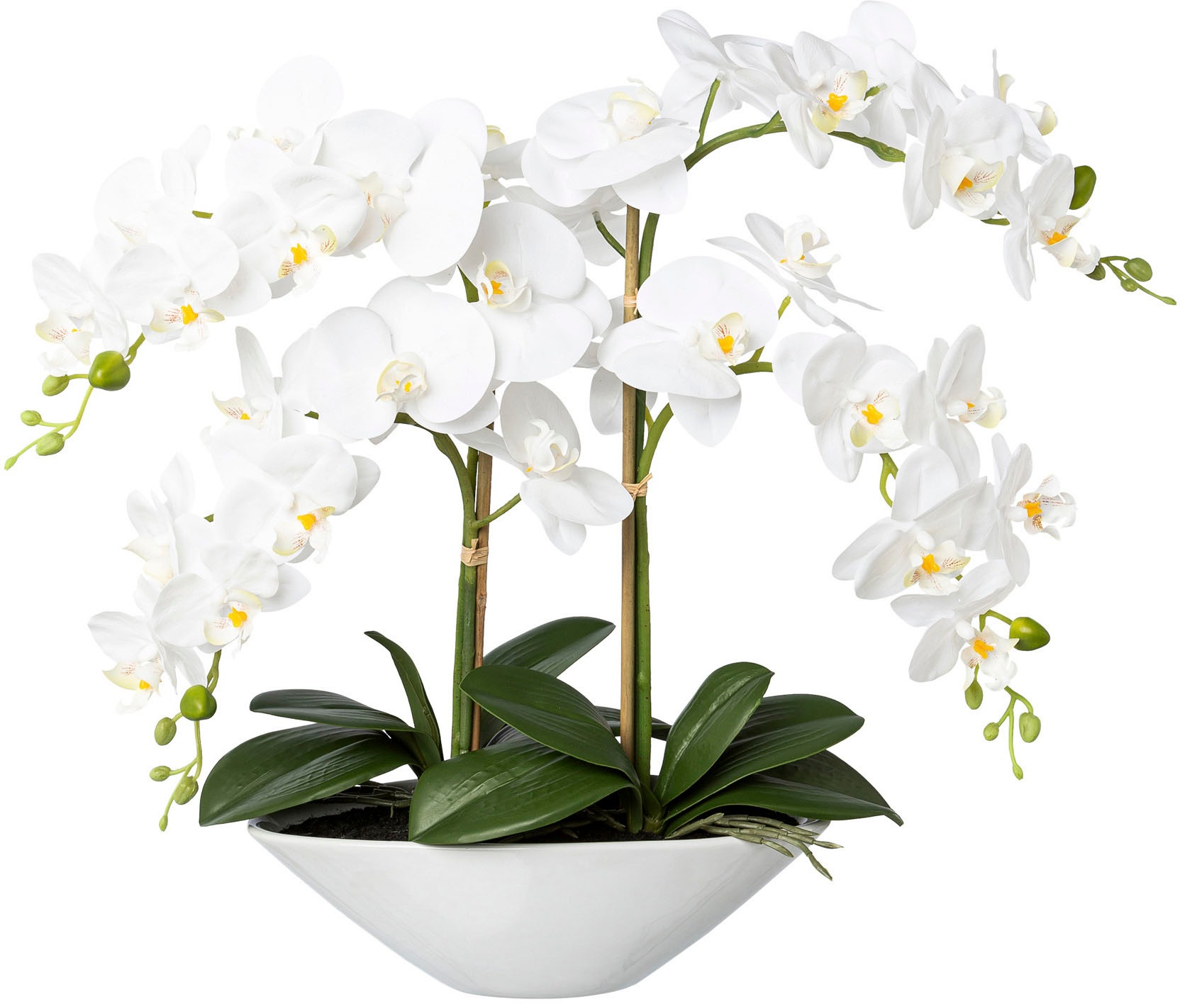 ☛ entdecken Sie Kunstorchideen Jelmoli-Versand HIER