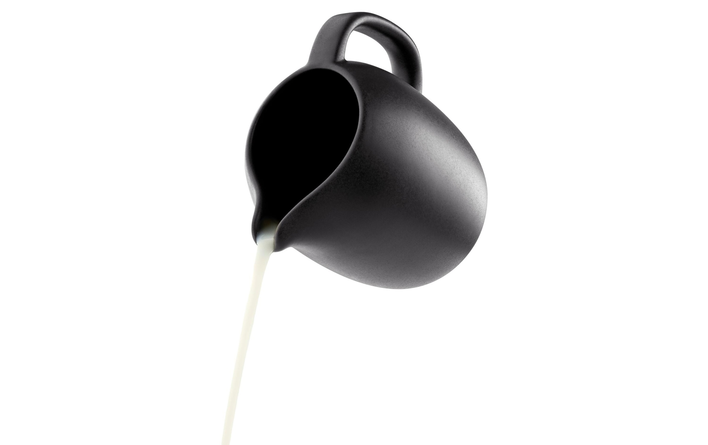 Eva Solo Wasserkrug »Nordic Kitchen«