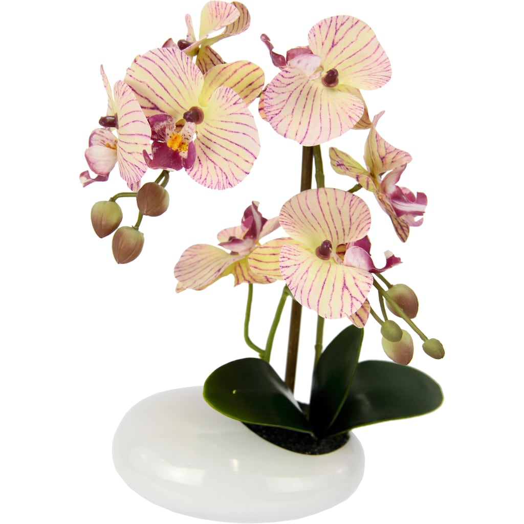 I.GE.A. Kunstpflanze »Phalaenopsis in Schale«