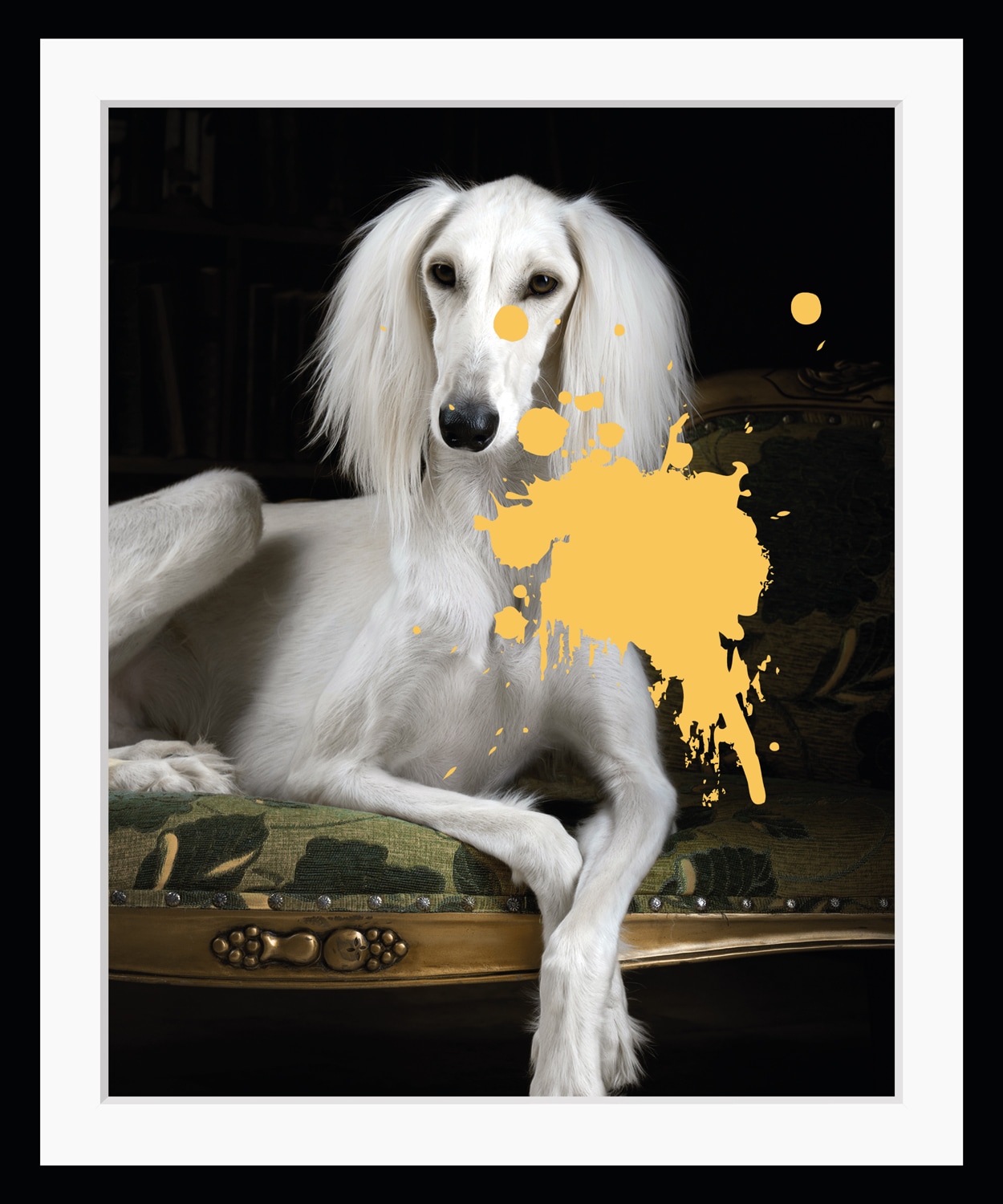 Farbklecks Hund, im »1.0«, entdecken Bild queence ❤ gerahmt, Jelmoli-Online Hunde, Pudel, Shop