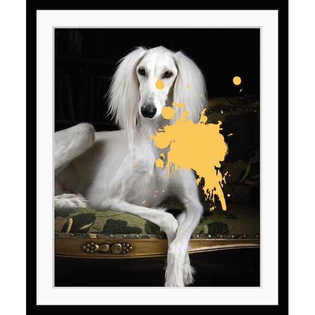 ❤ queence Bild »1.0«, Hunde, gerahmt, Hund, Pudel, Farbklecks entdecken im  Jelmoli-Online Shop
