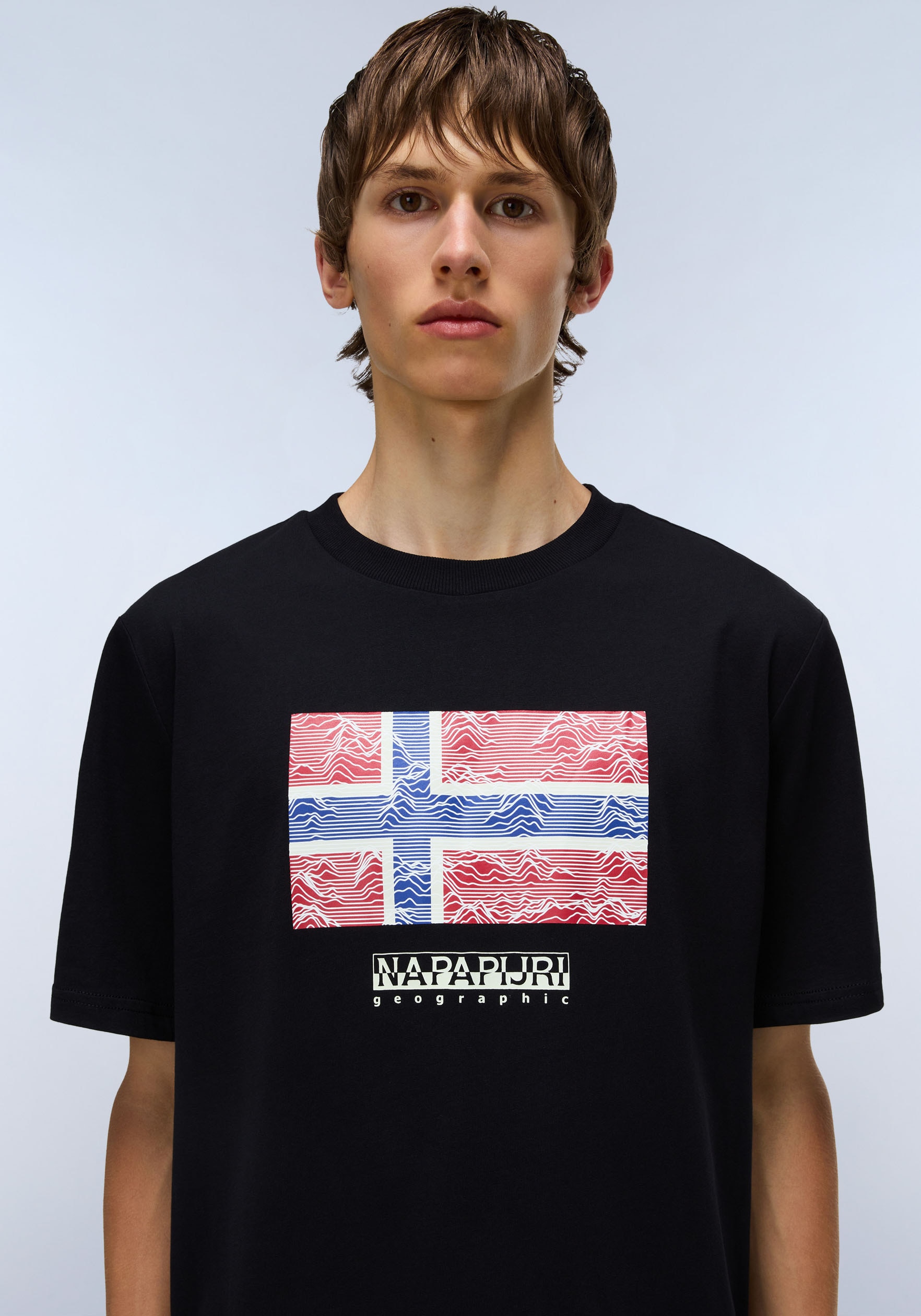 Napapijri T-Shirt »DRAPEAU«, mit Print, Rundhals, Jersey
