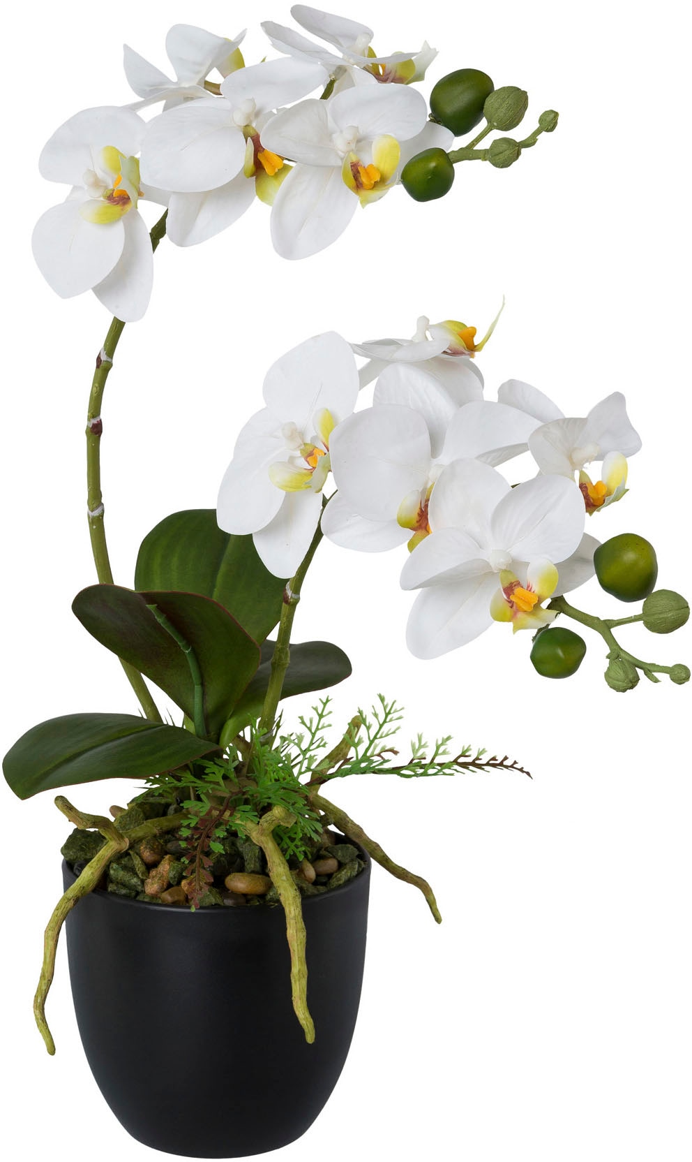 Creativ green Kunstorchidee »Phalaenopsis«, im Kunststofftopf