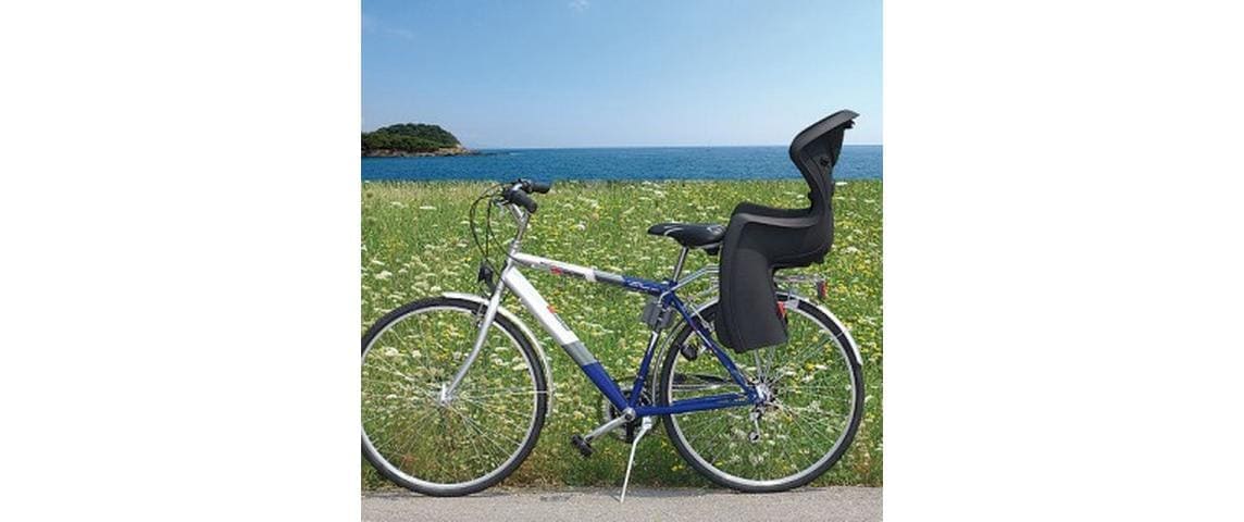 OK Baby Fahrradkindersitz »Body Guard«
