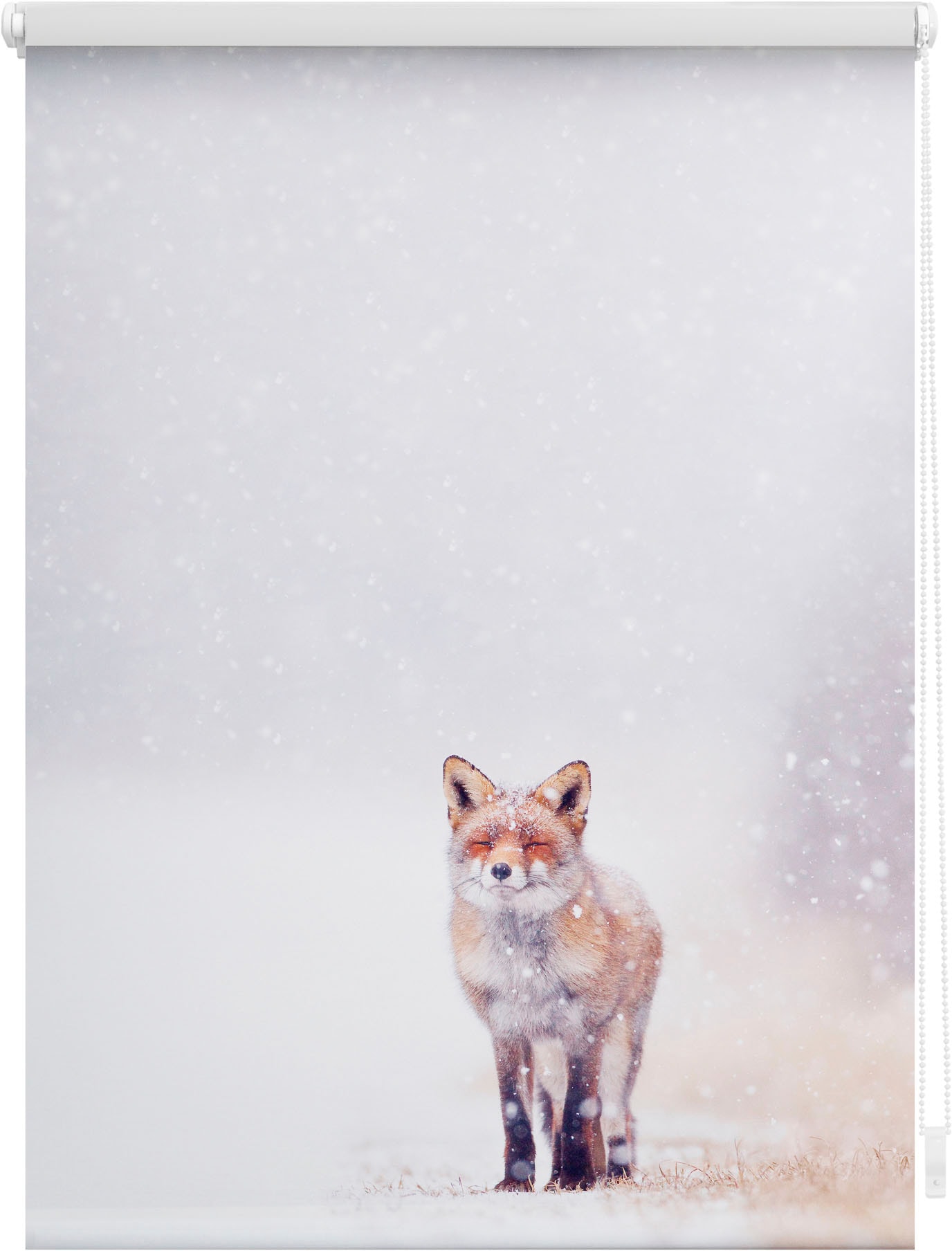 LICHTBLICK ORIGINAL im Jelmoli-Versand online Seitenzugrollo »Klemmfix Fuchs Schnee«, freihängend, bedruckt Motiv | ohne kaufen Lichtschutz, Bohren