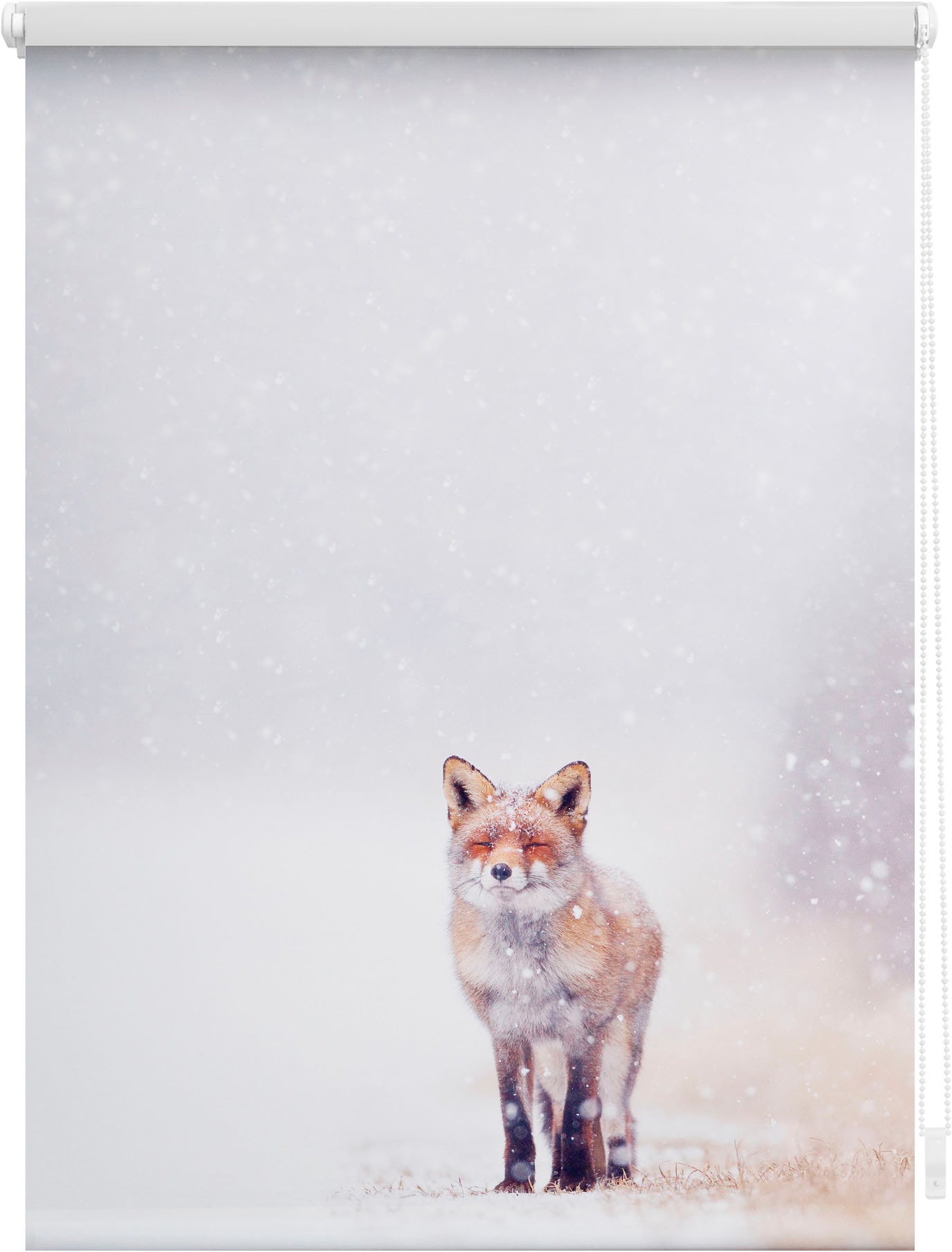 kaufen ohne Motiv bedruckt Schnee«, Fuchs freihängend, ORIGINAL Jelmoli-Versand online Lichtschutz, Bohren, | »Klemmfix Seitenzugrollo LICHTBLICK im