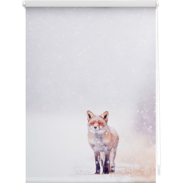 LICHTBLICK ORIGINAL Seitenzugrollo »Klemmfix Motiv Fuchs im Schnee«,  Lichtschutz, ohne Bohren, freihängend, bedruckt online kaufen |  Jelmoli-Versand