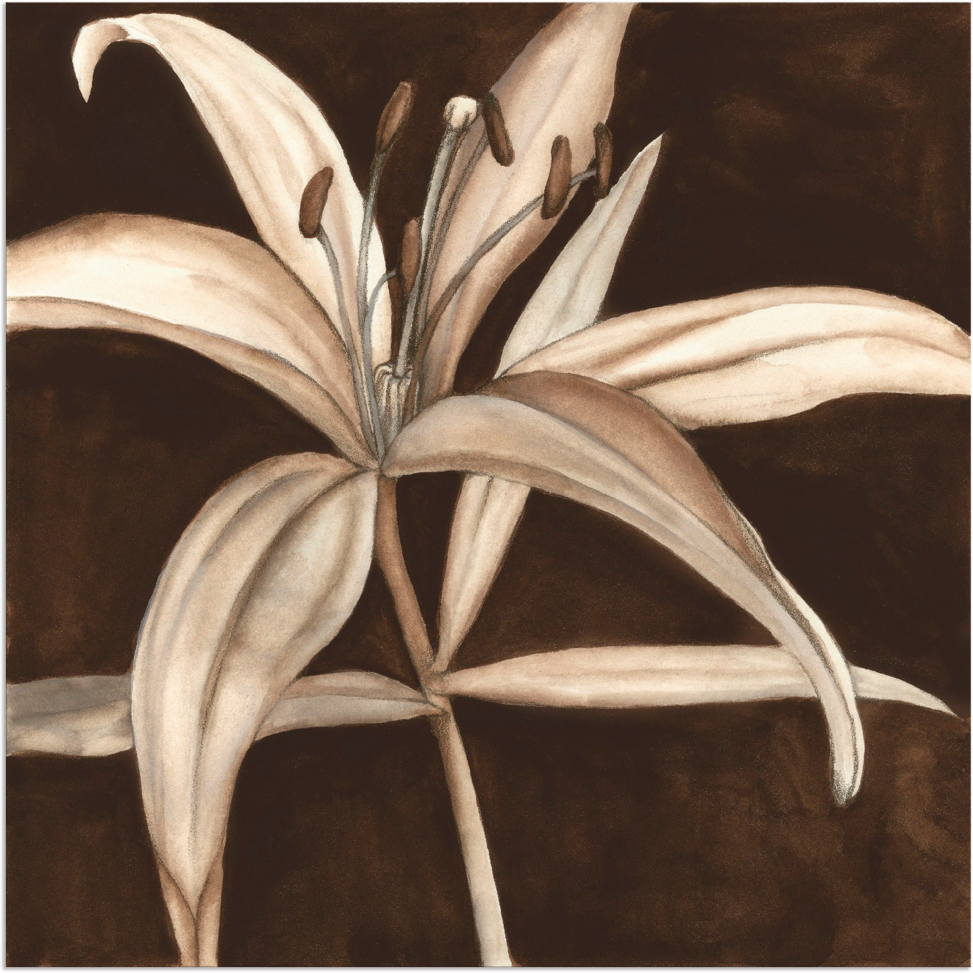 Artland Wandbild »Sepia Lilie II«, Blumen, (1 St.), als Alubild, Leinwandbild, Wandaufkleber oder Poster in versch. Grössen