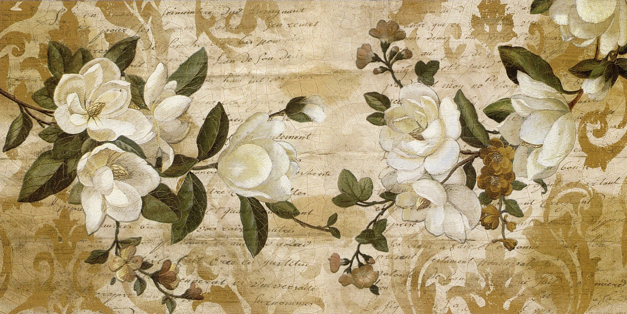 Home affaire Kunstdruck »CHRIS DONOVAN / Magnolia Romance«, (1 St.) kaufen