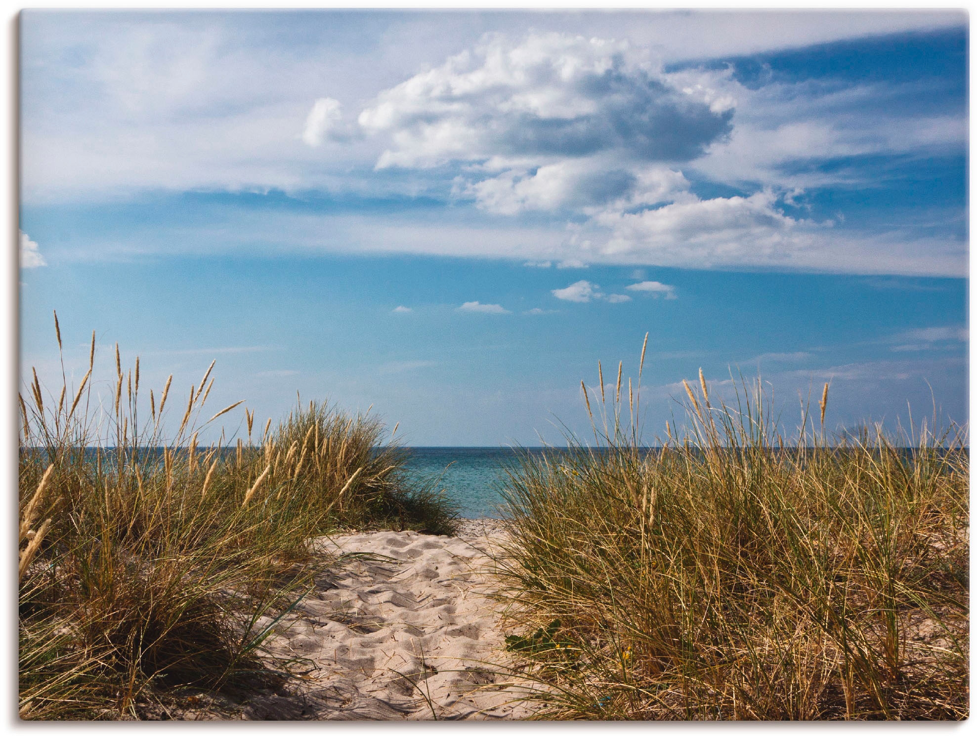 Artland Wandbild »Ostseestrand in Dänemark«, Strand, (1 St.), als Alubild,  Leinwandbild, Wandaufkleber oder Poster in versch. Grössen online kaufen |  Jelmoli-Versand