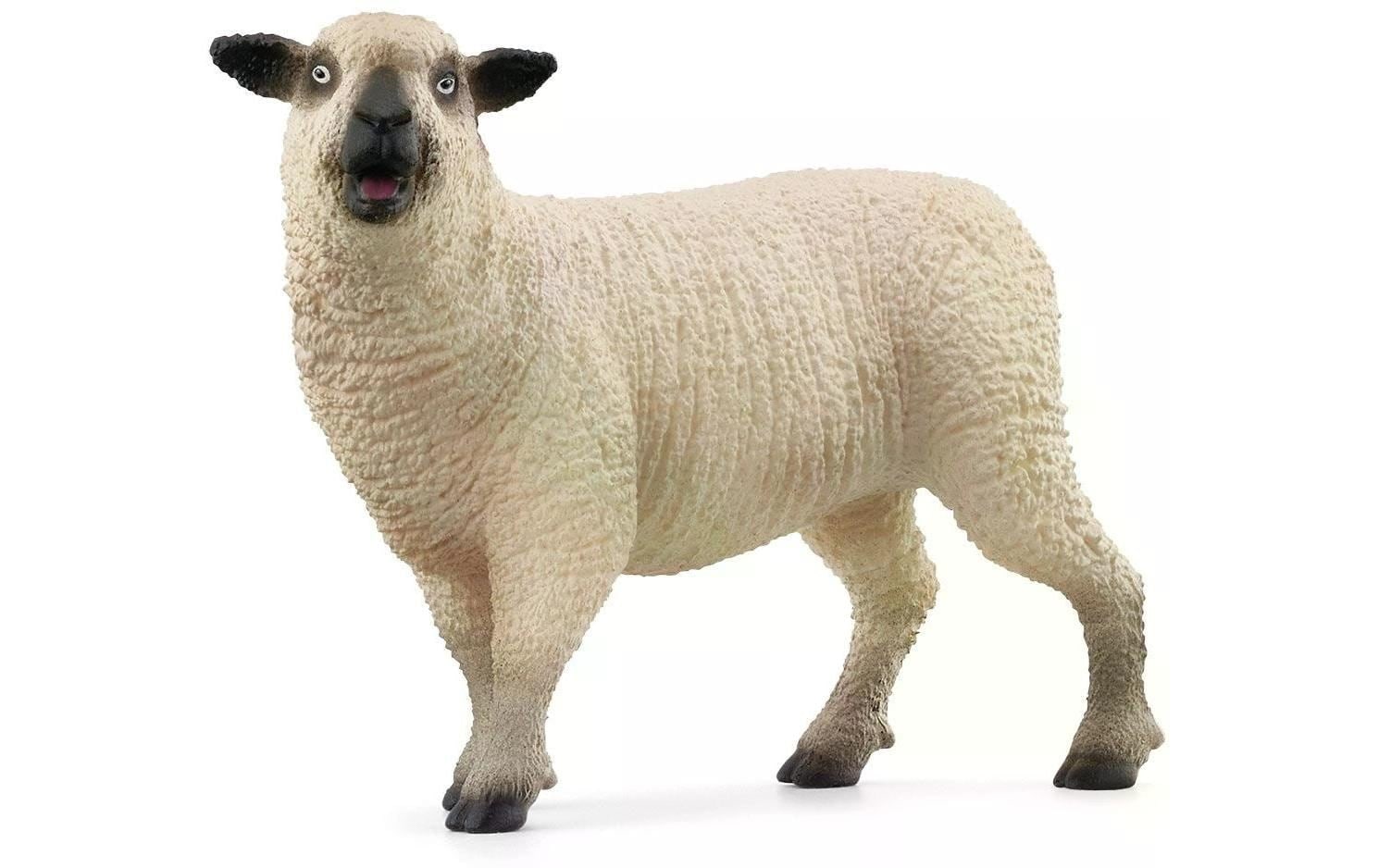 Schleich® Spielfigur »Farm World Schaffreunde«