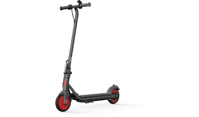 Segway E-Scooter »Zing C20 G«, 16 km/h, 20 km kaufen