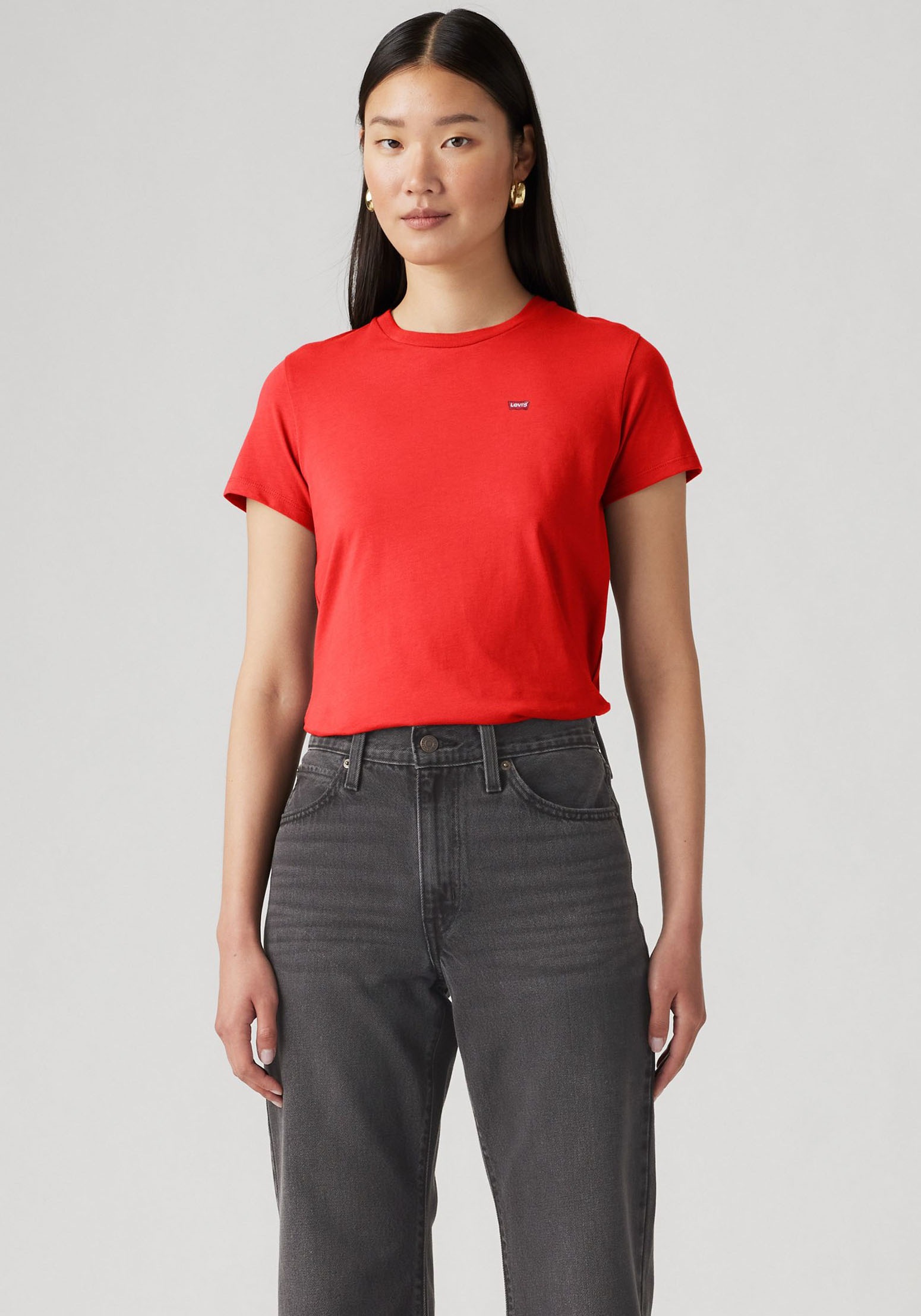 Levi's® T-Shirt »Mini-Logo« Packung, 2 Stk. mit kleiner Markenlogo-Stickerei auf der Brust