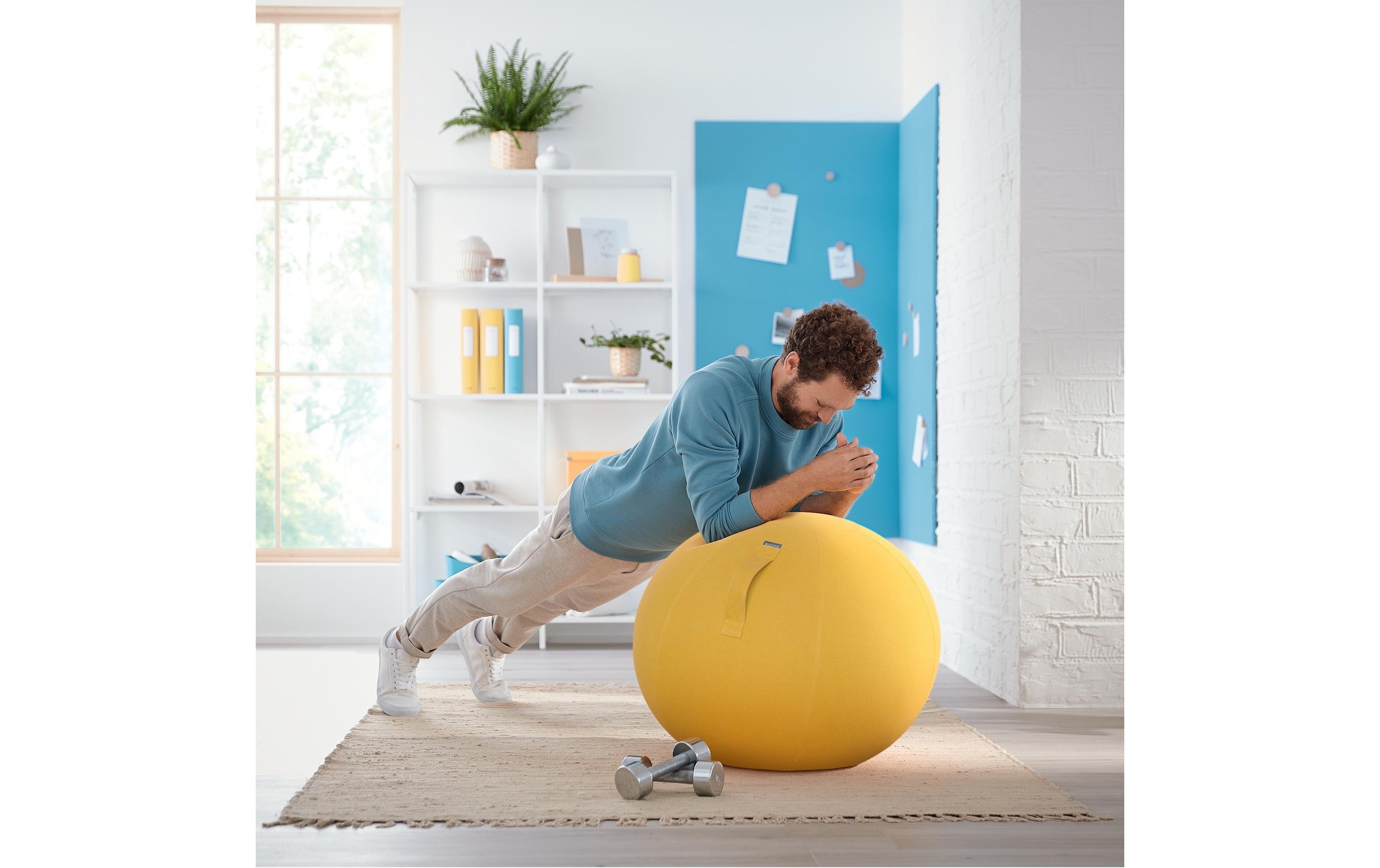 LEITZ Sitzball »Ergo Cosy«