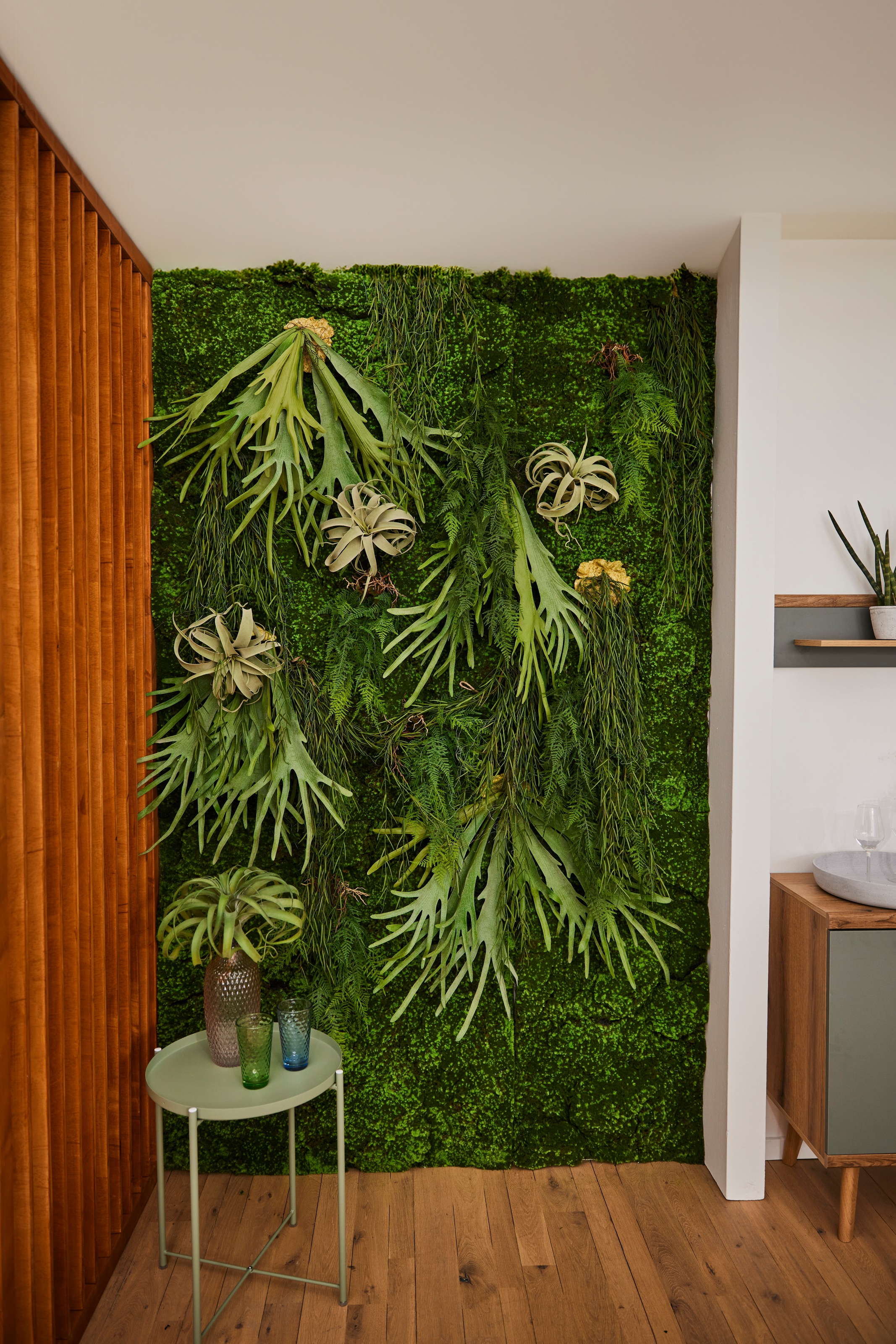 Creativ green Kunstranke »Rhipsalishänger«
