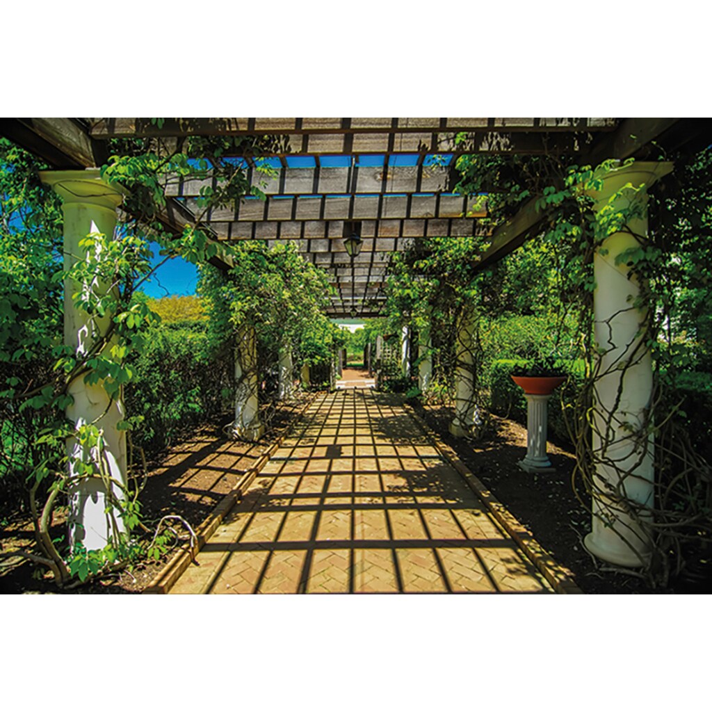 Papermoon Fototapete »Garden Walkway«