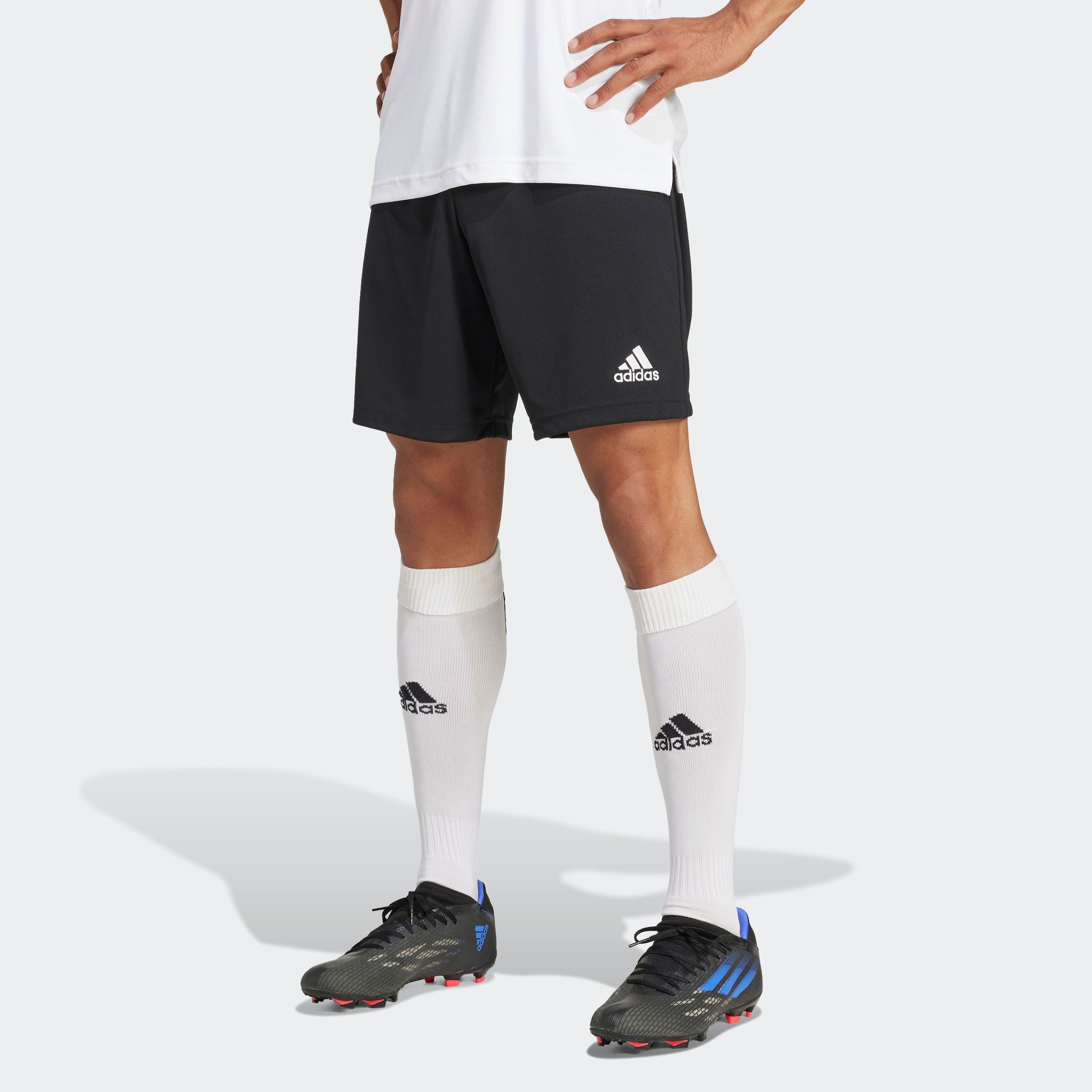adidas Performance Trainingsshorts "ENT22 SHO"