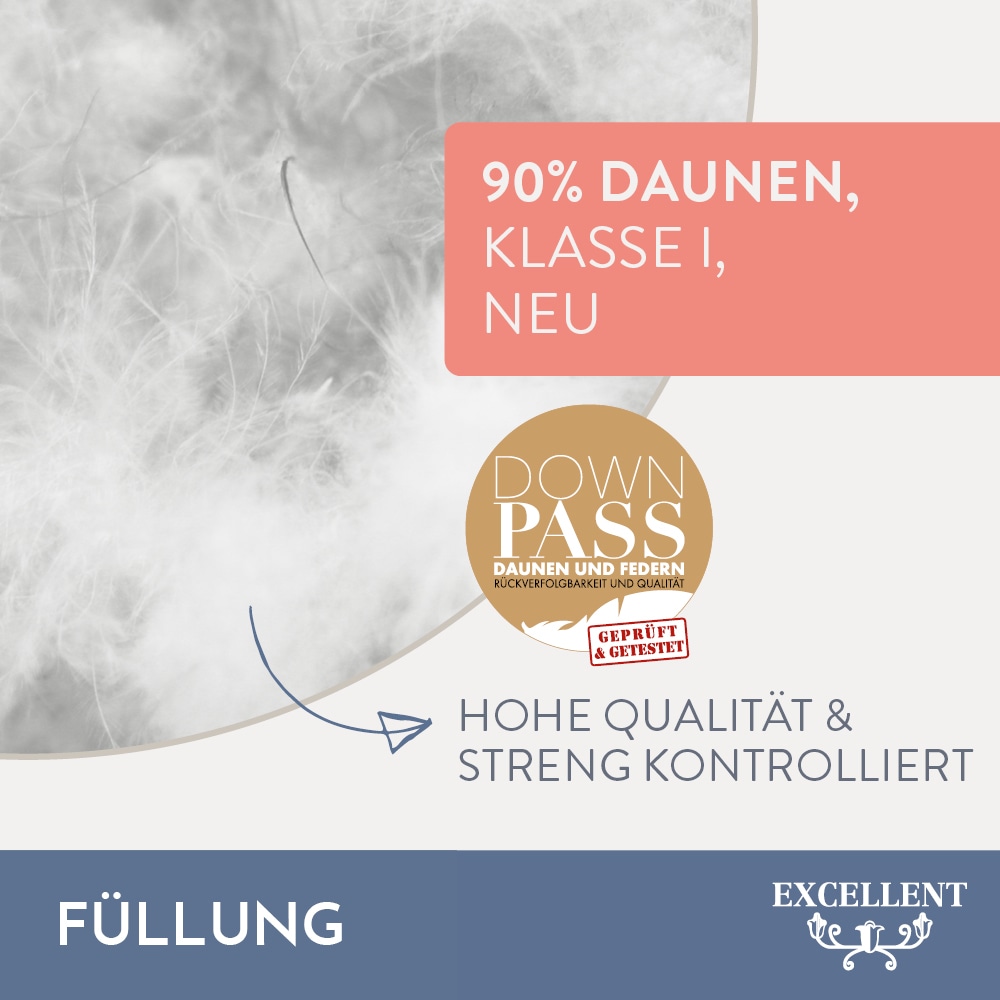 Excellent Daunenbettdecke »Überraschungsbox«, warm, Füllung 90% Daunen, 10% Federn, Bezug Baumwolle, (1 St.), absoluter Sonderpreis, wegen Lagerräumung, Solange der Vorrat reicht